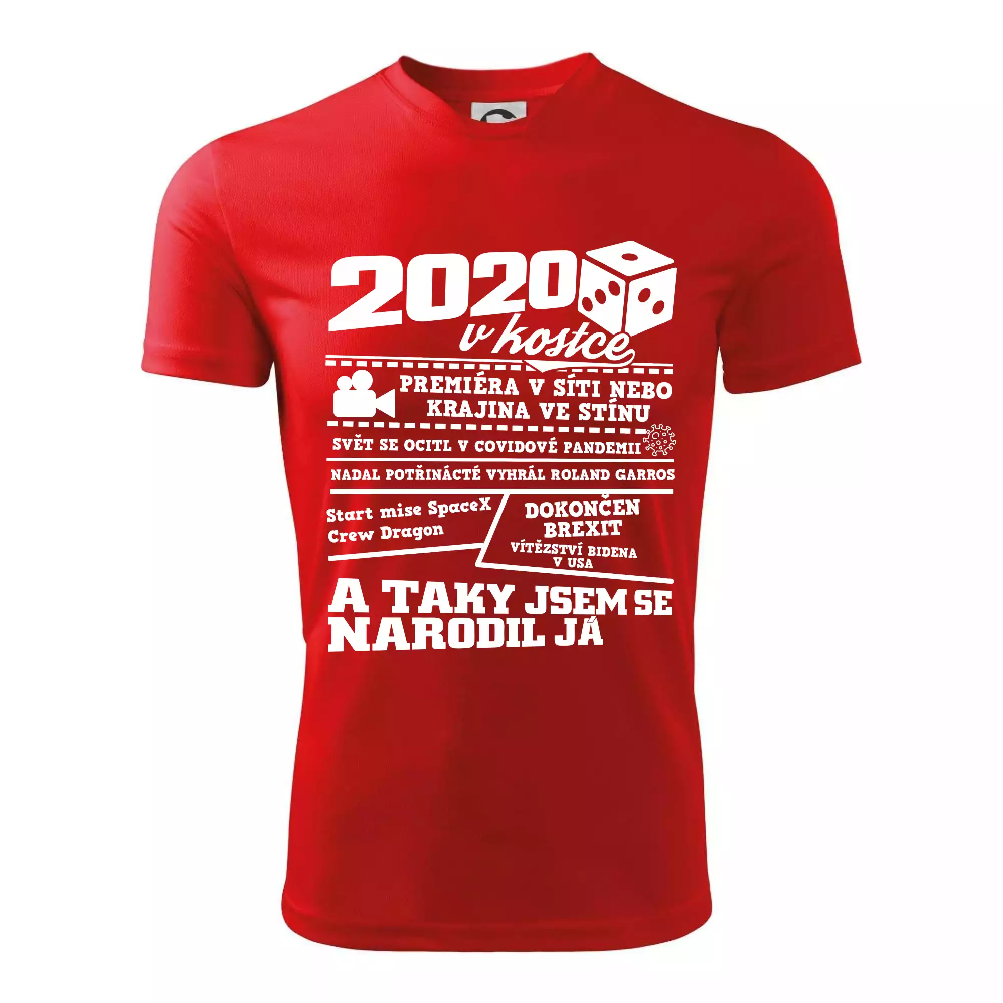 2020 v kostce