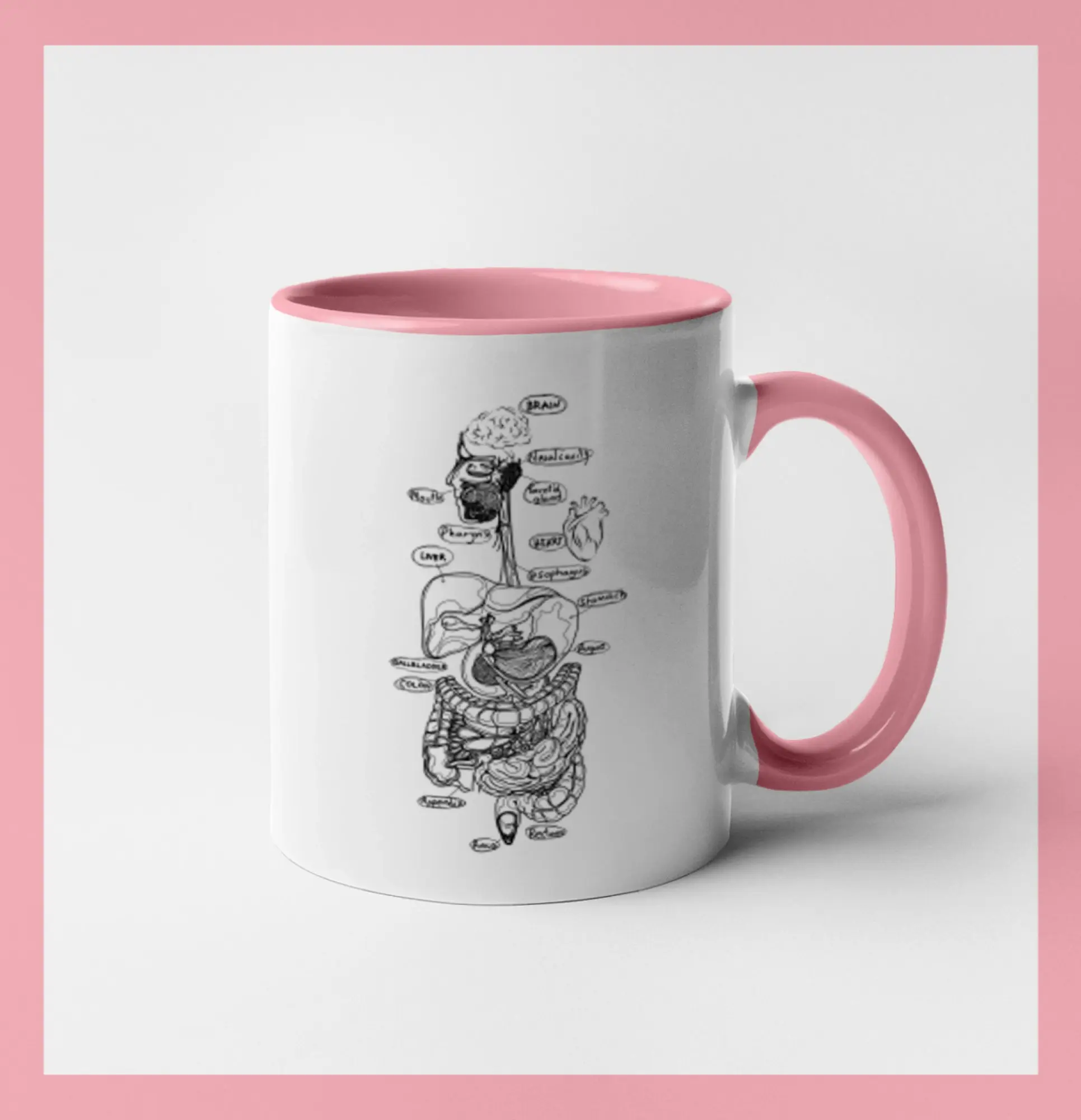 Skica lidských orgánů