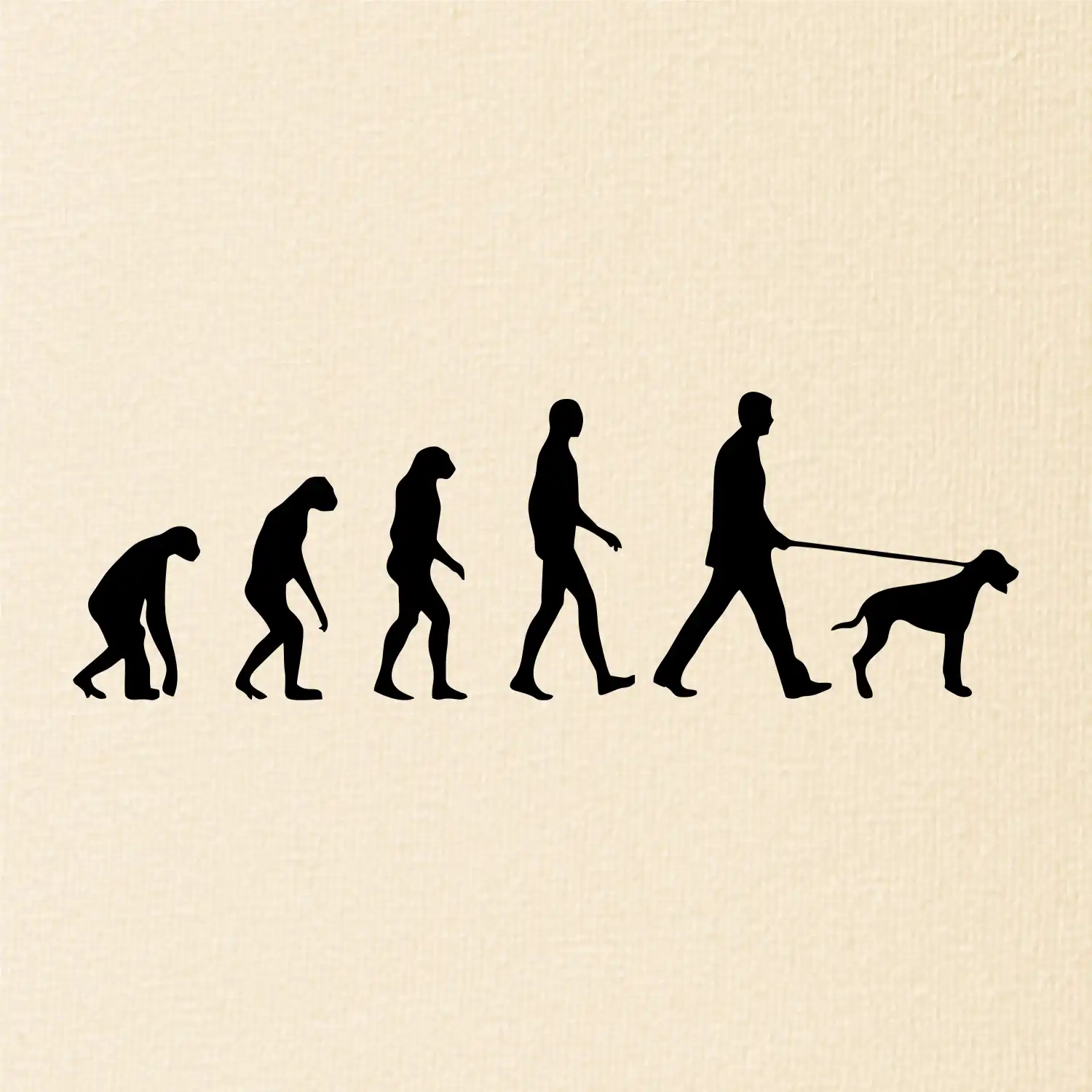 Evoluce pes ohař