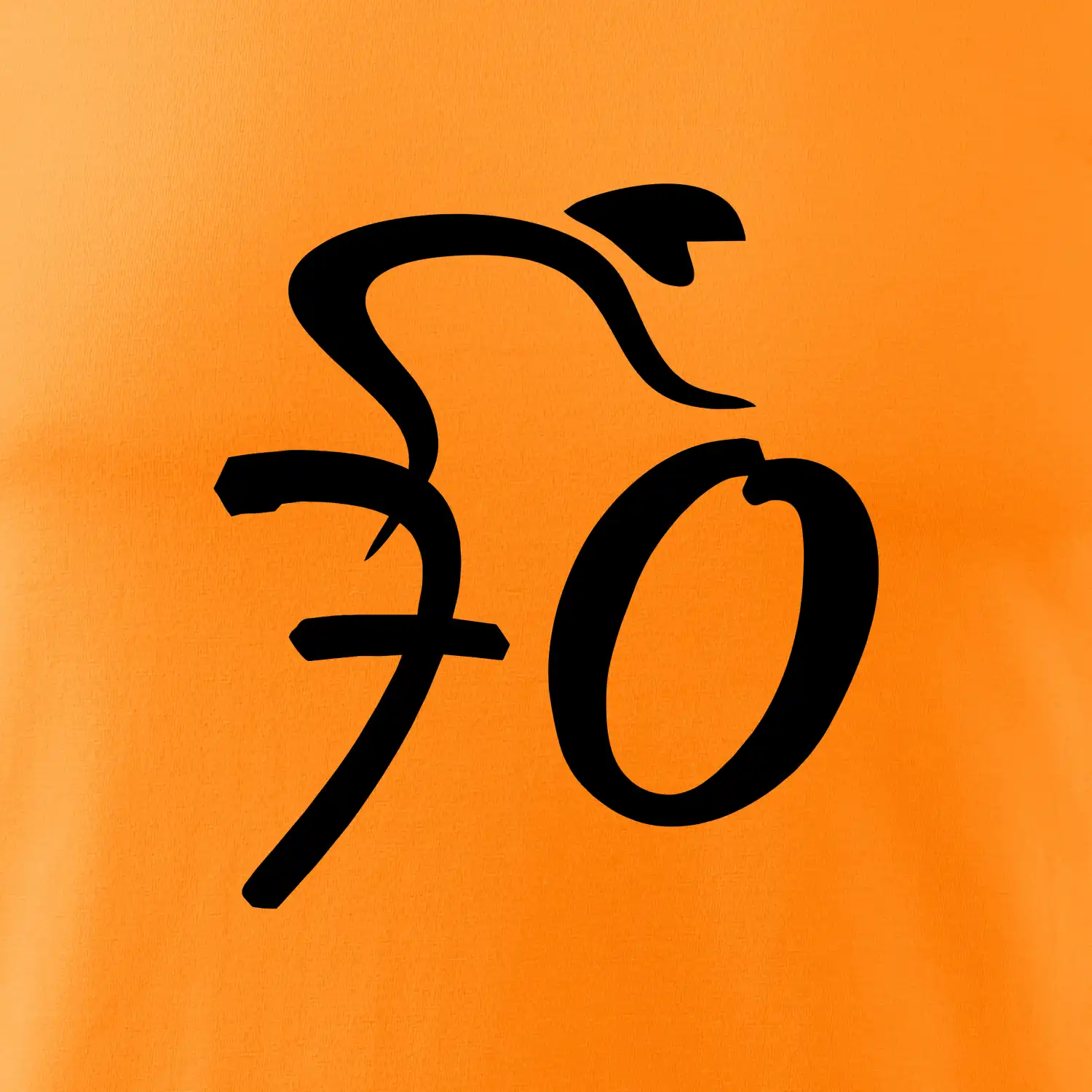 Cyklista slaví sedmdesátku (70)