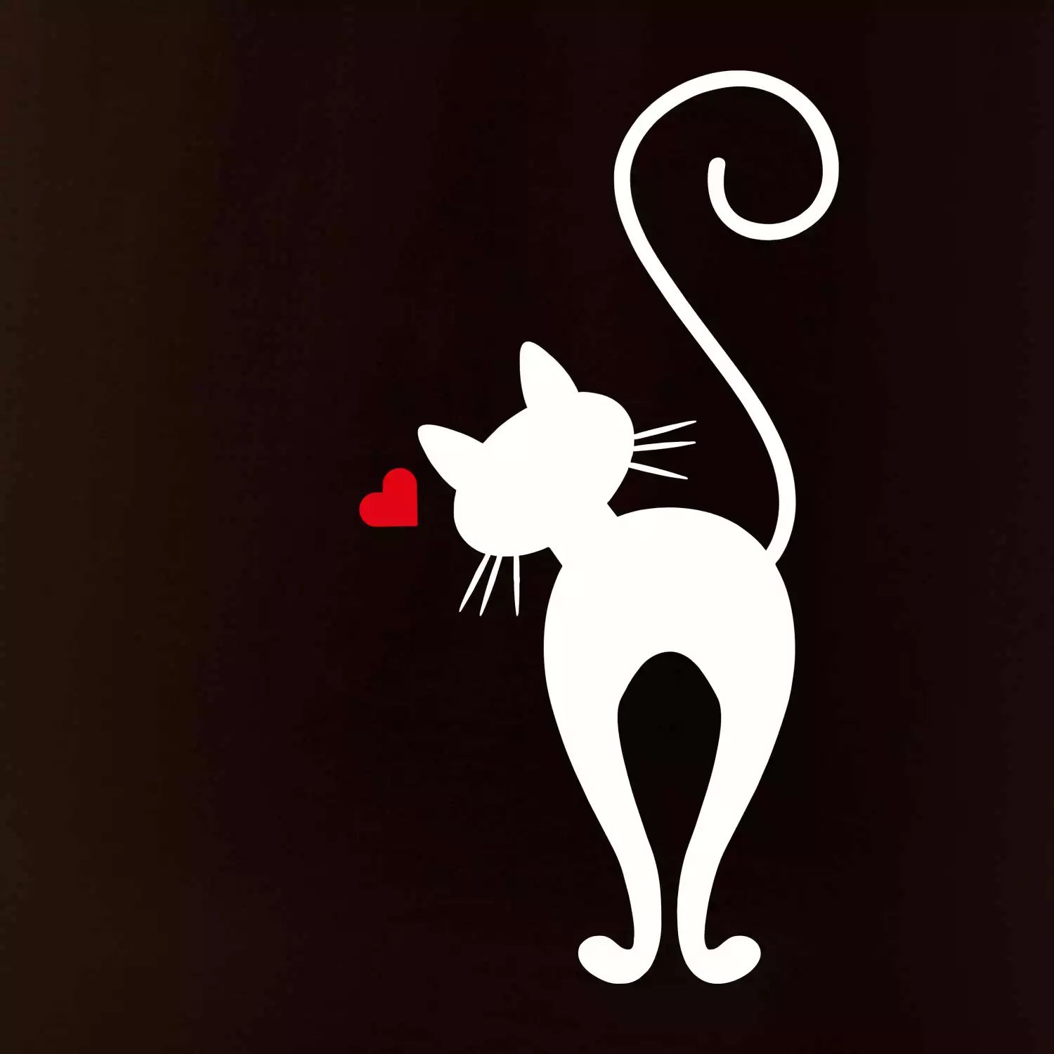 Zamilovaná kočka zezadu