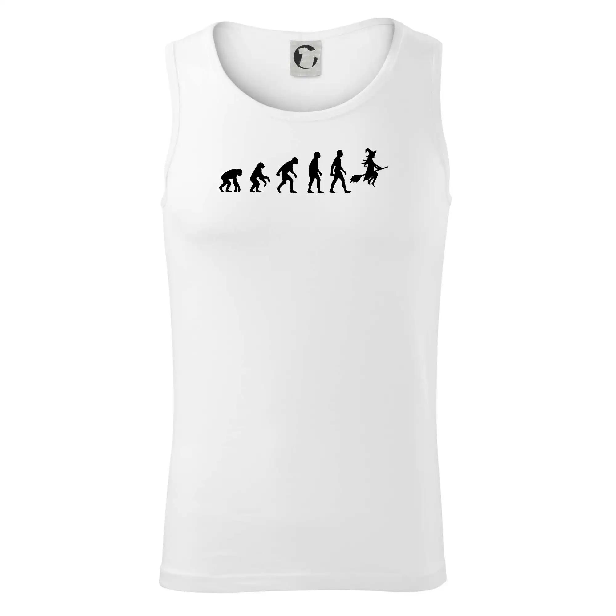 Evoluce čarodějnice