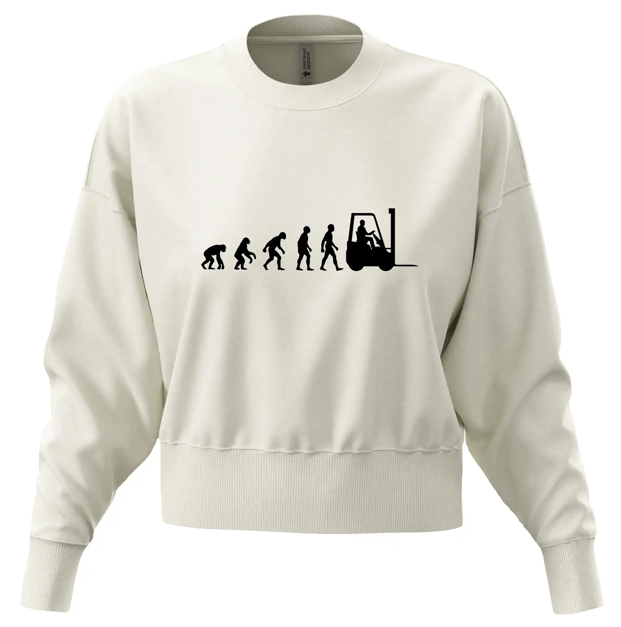 Evoluce ještěrka