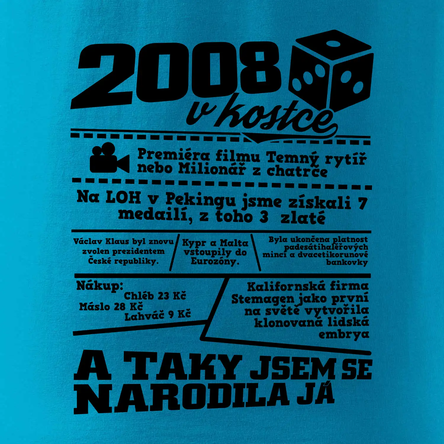 2008 v kostce