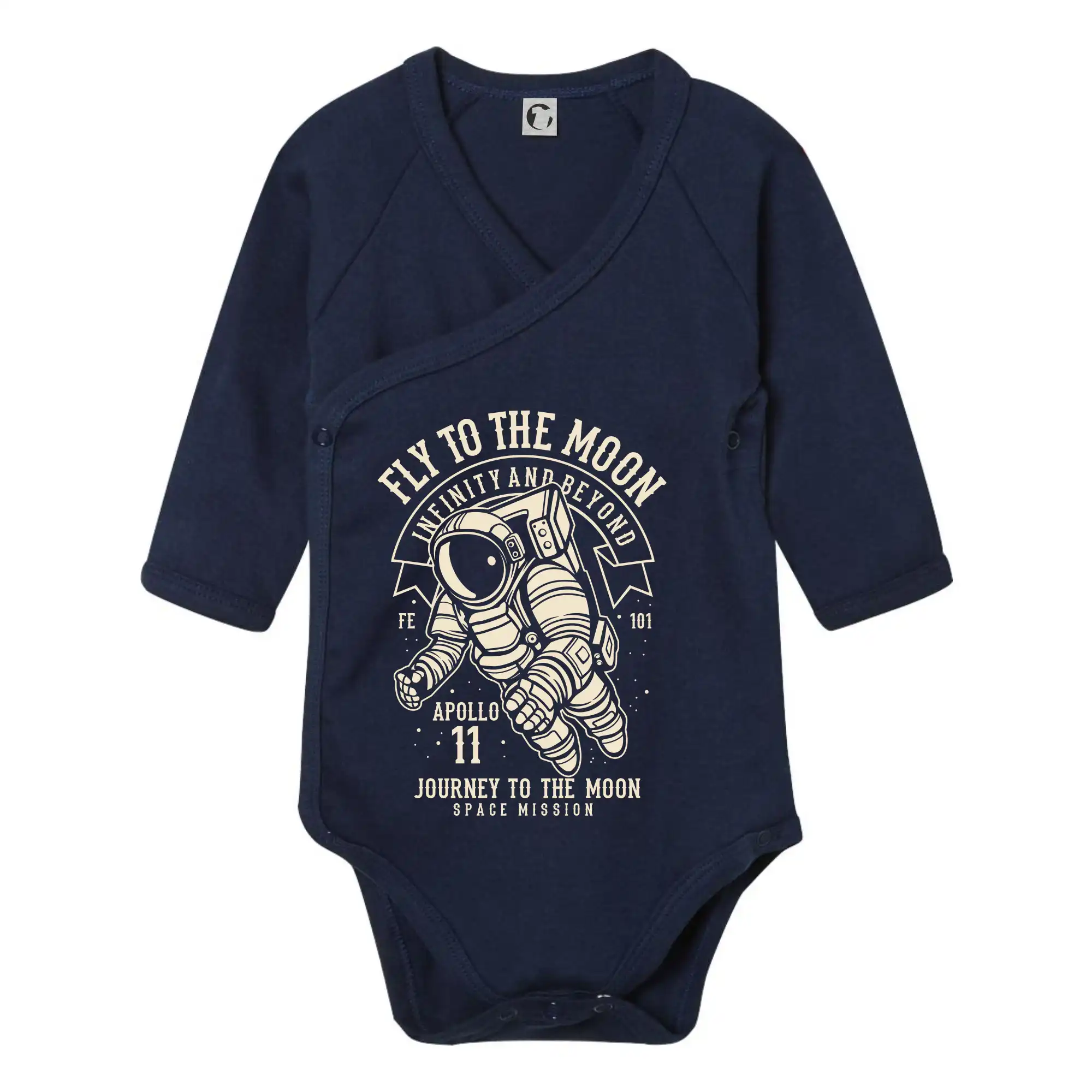 Fly To The Moon