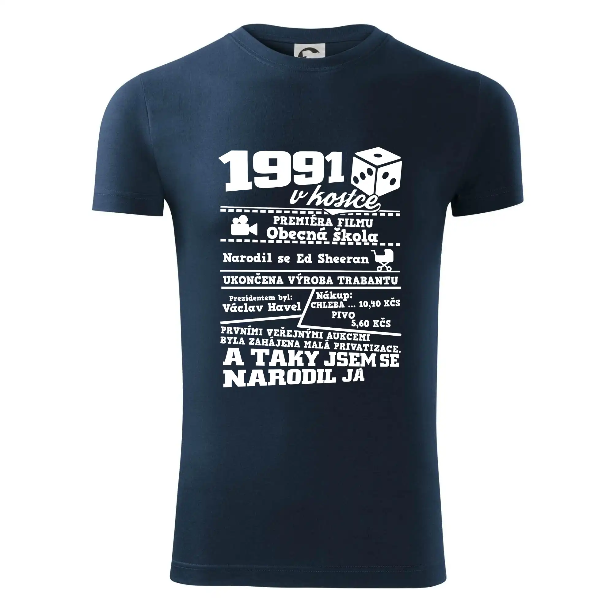 1991 v kostce