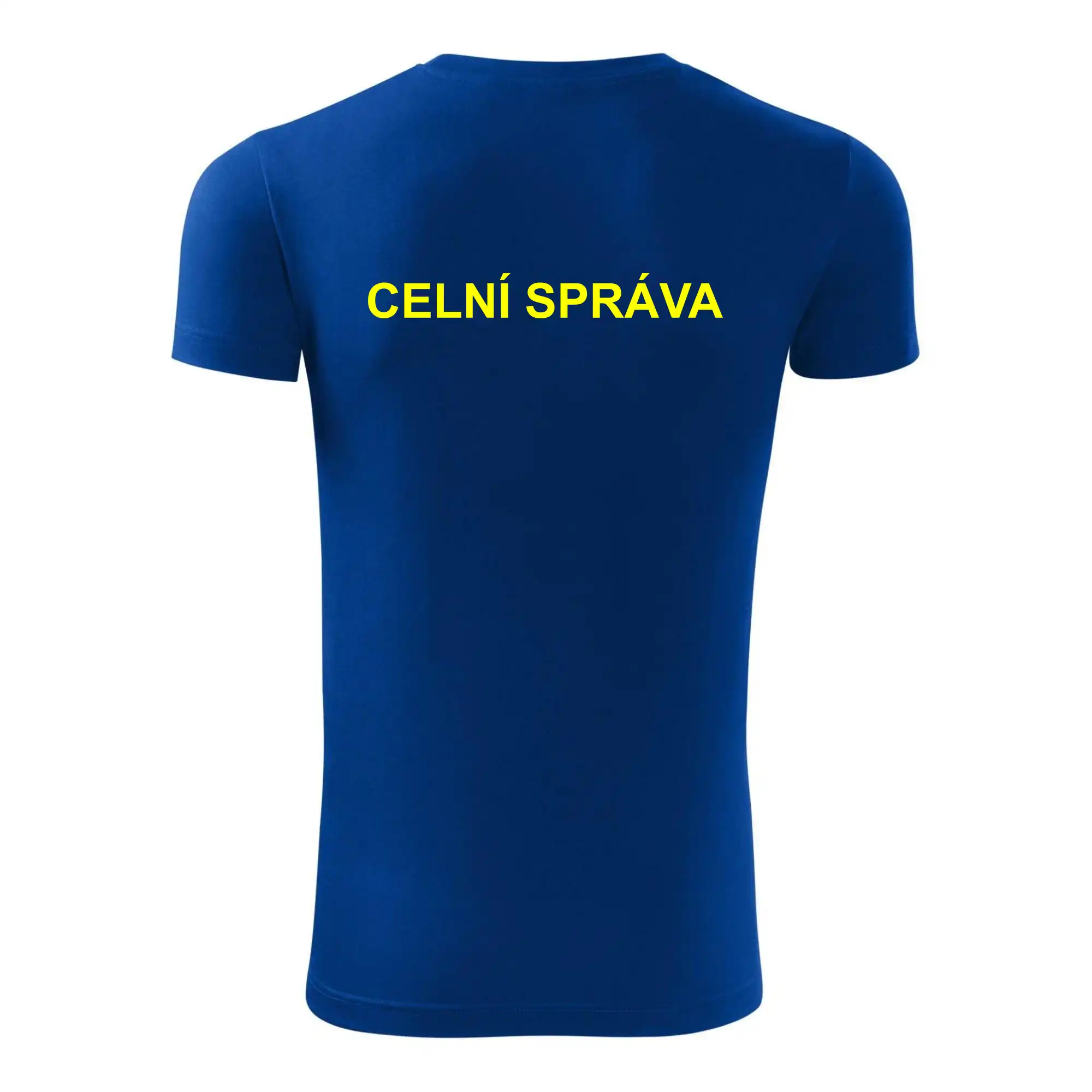 Celní správa