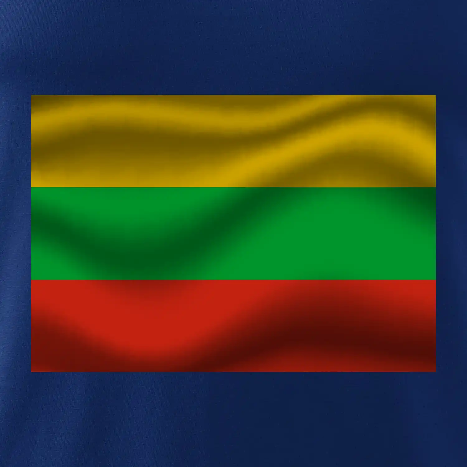 Litva vlajka obdélník