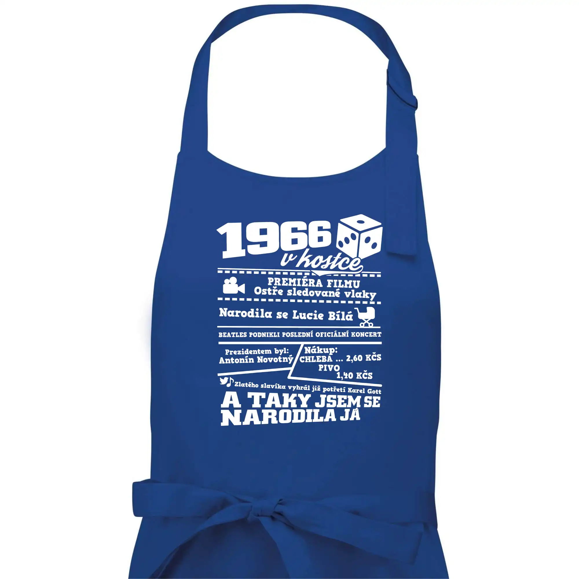 1966 v kostce
