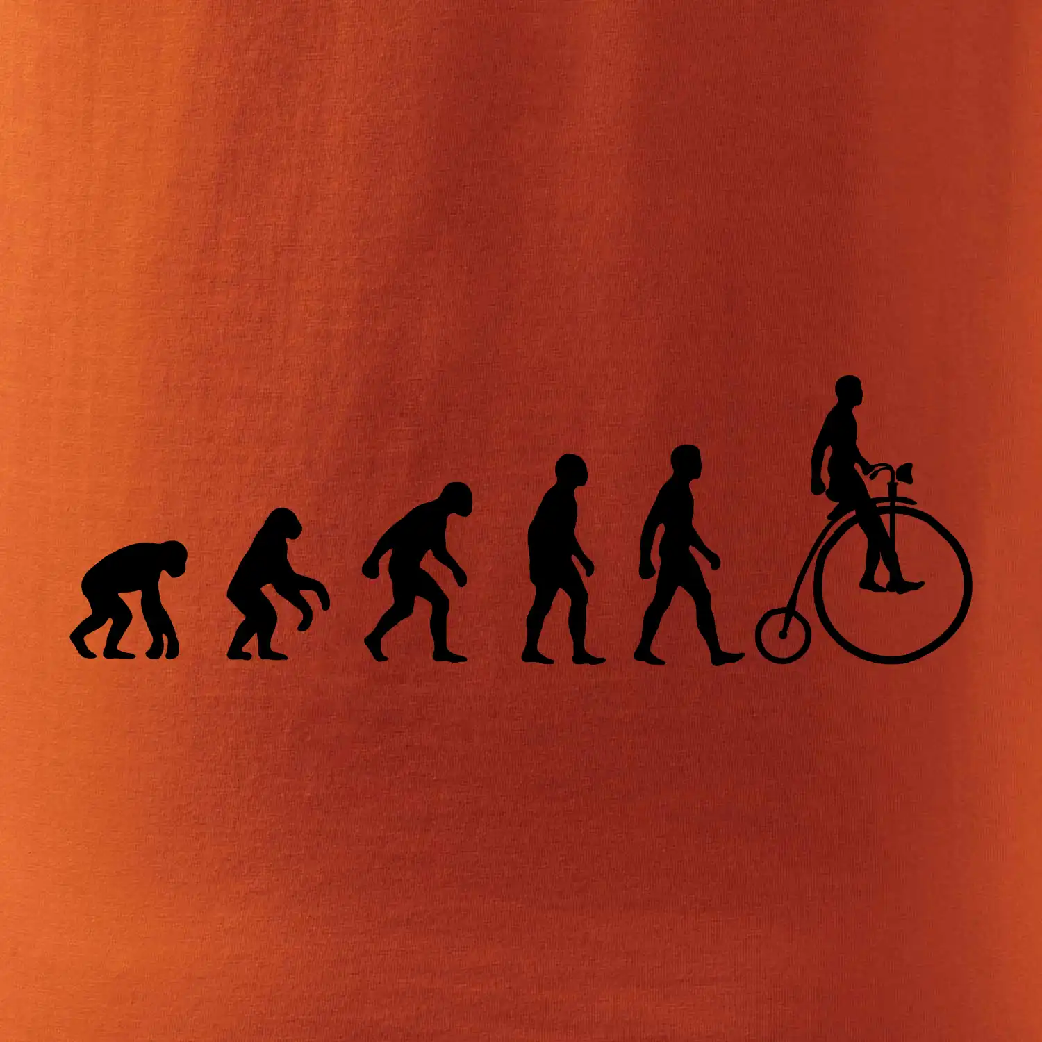 Evoluce staré kolo