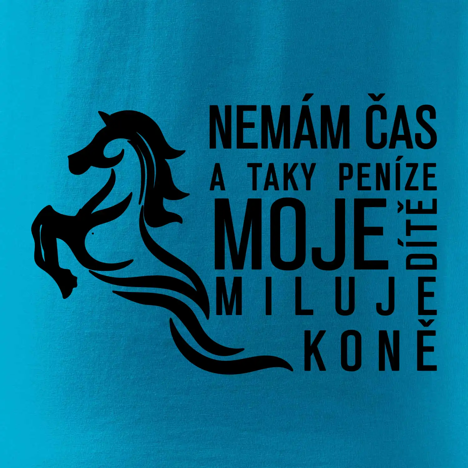Nemám čas a taky peníze - Kůň