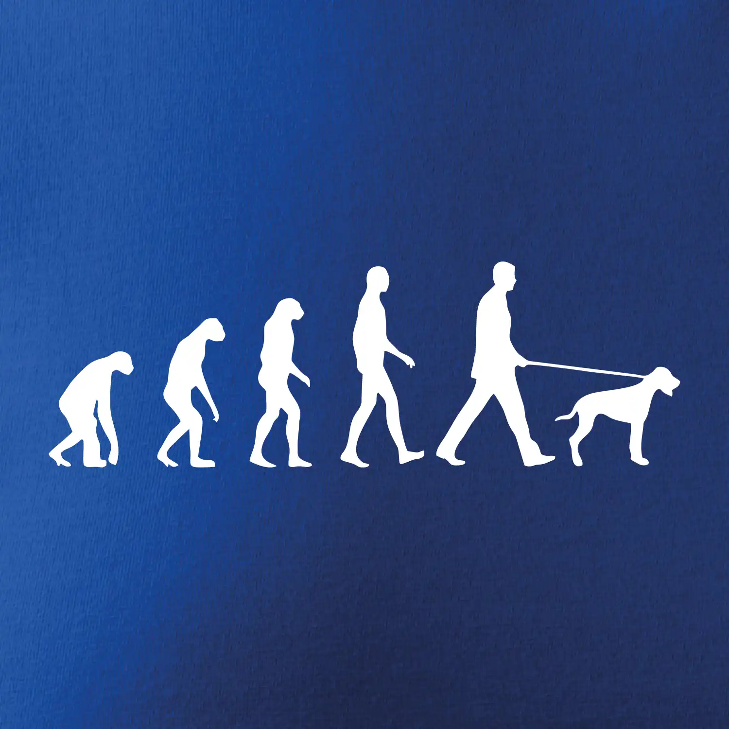 Evoluce pes ohař