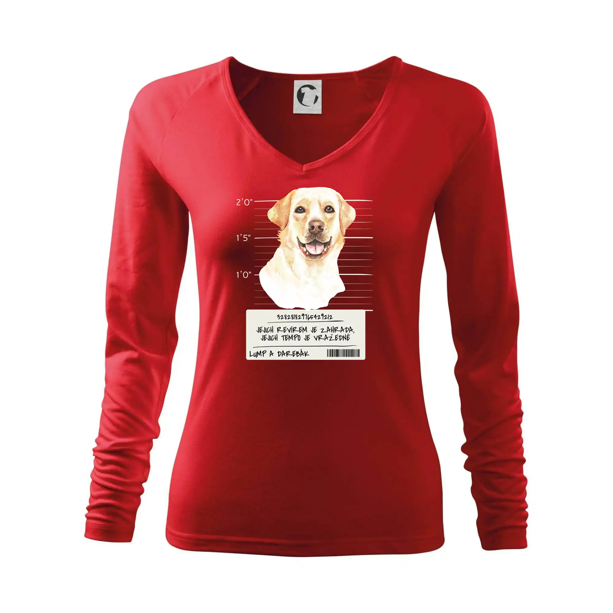 Lump a darebák labrador