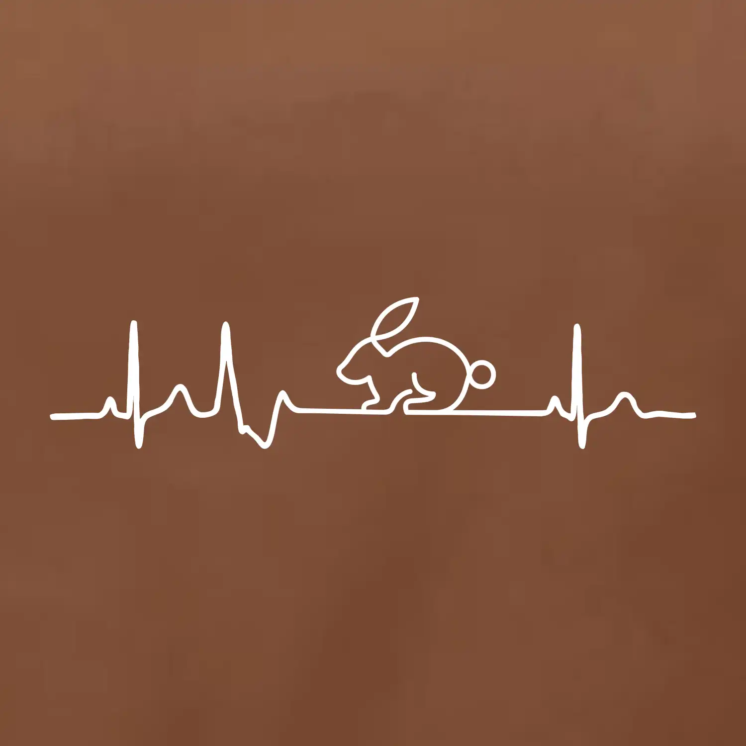 EKG králík