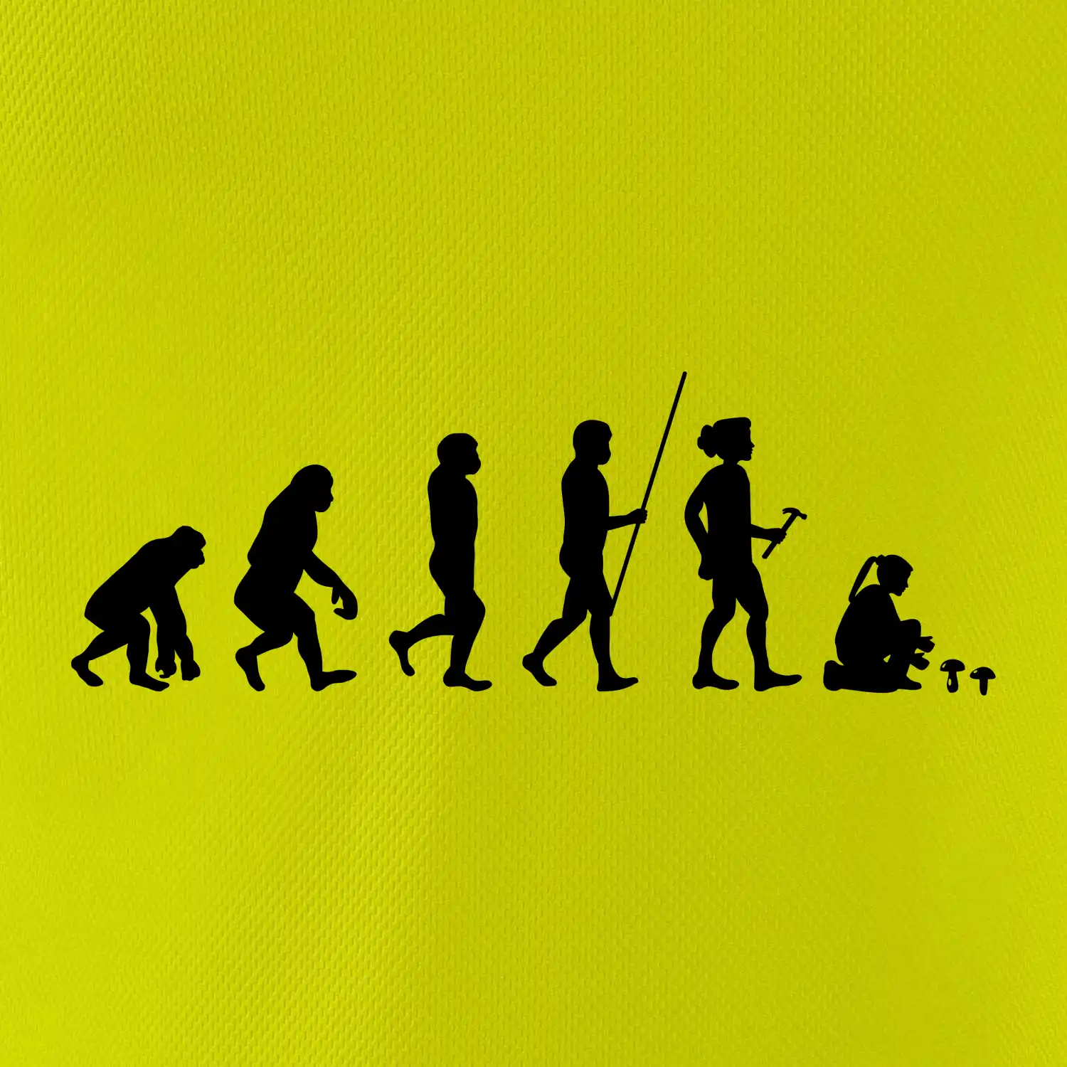 Evoluce houbařka