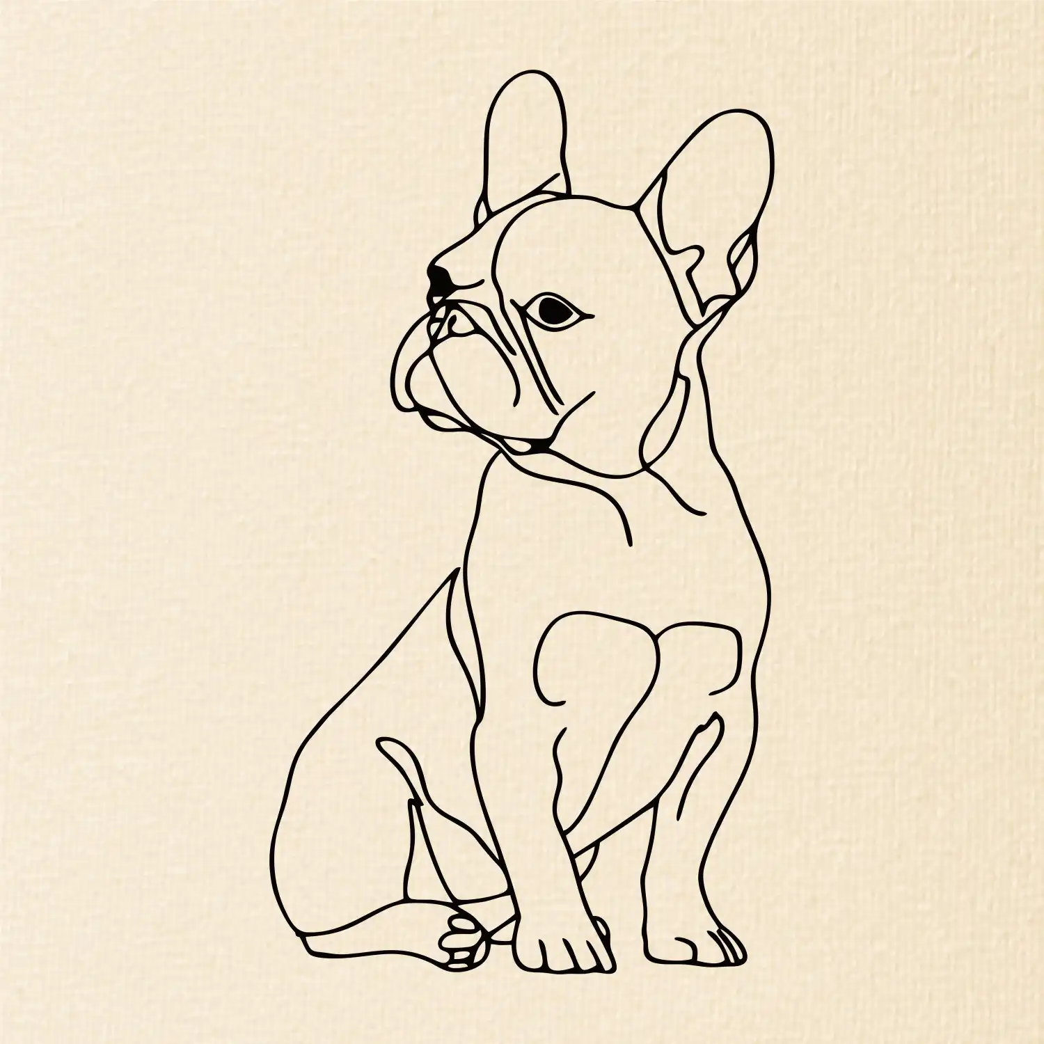 Francouzský buldoček černá kresba