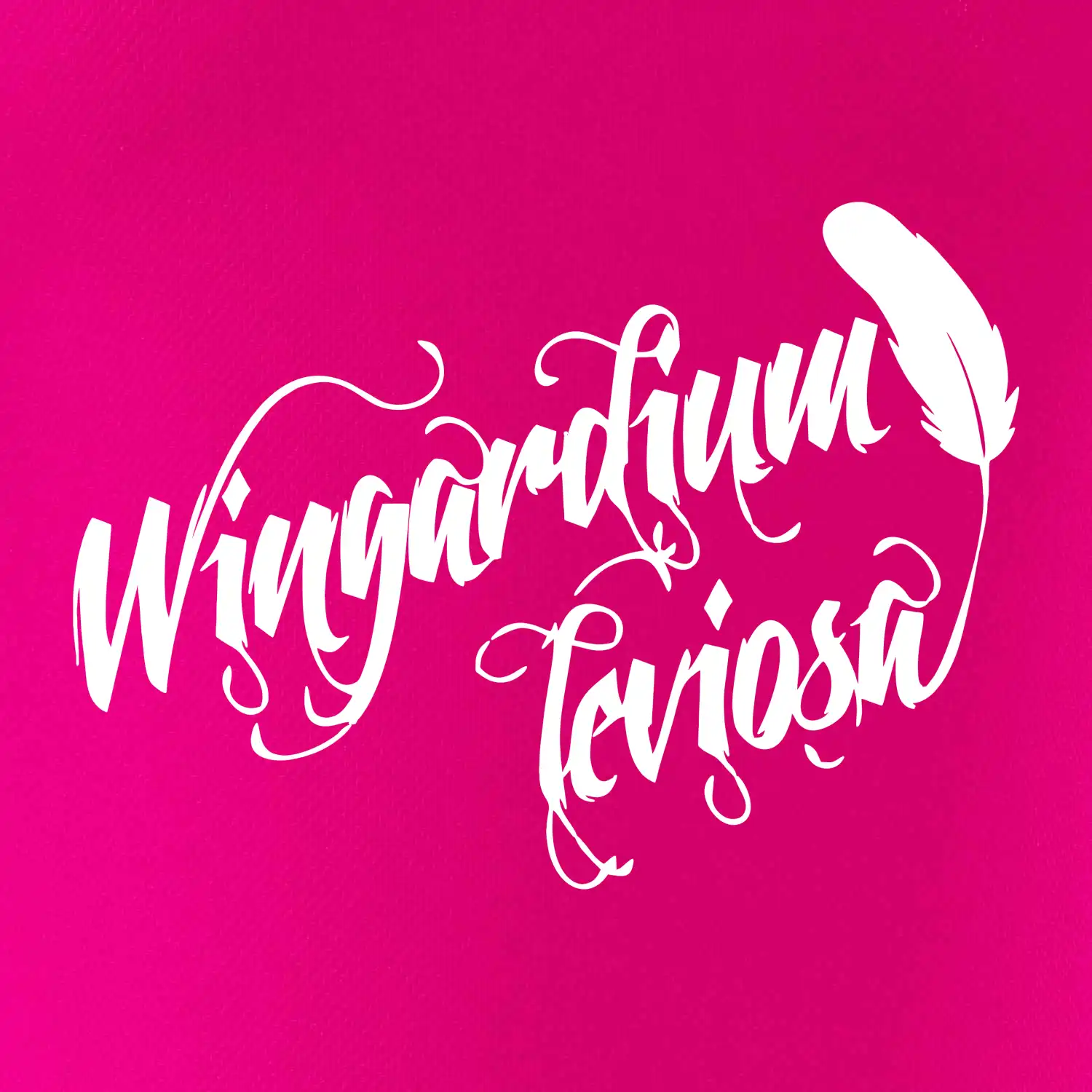 Harry - Wingardium Leviosa