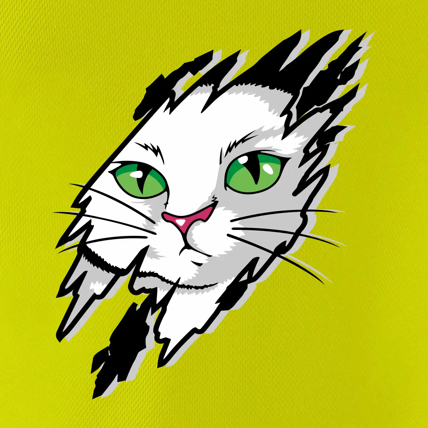 Kočka v roztrženém triku