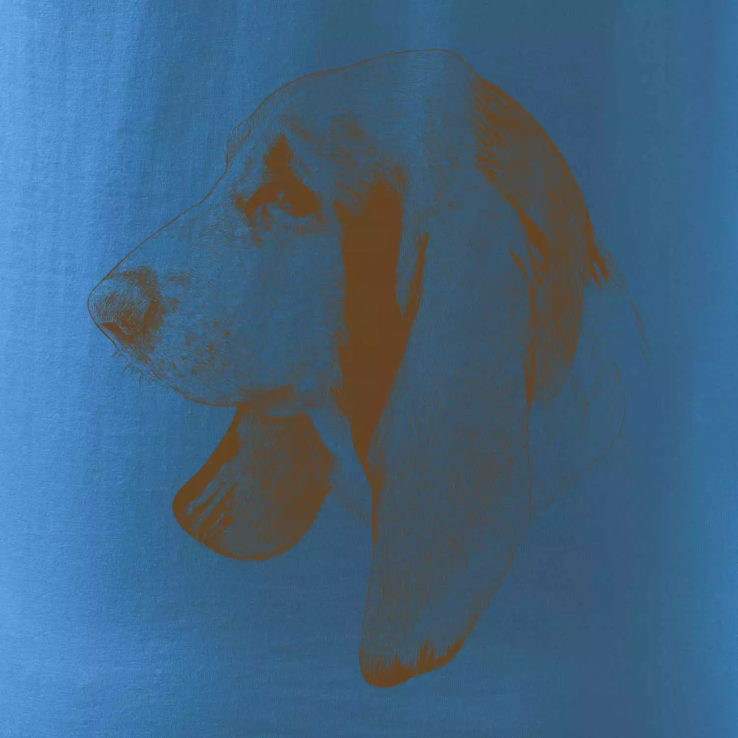 Basset - kreslená hlava