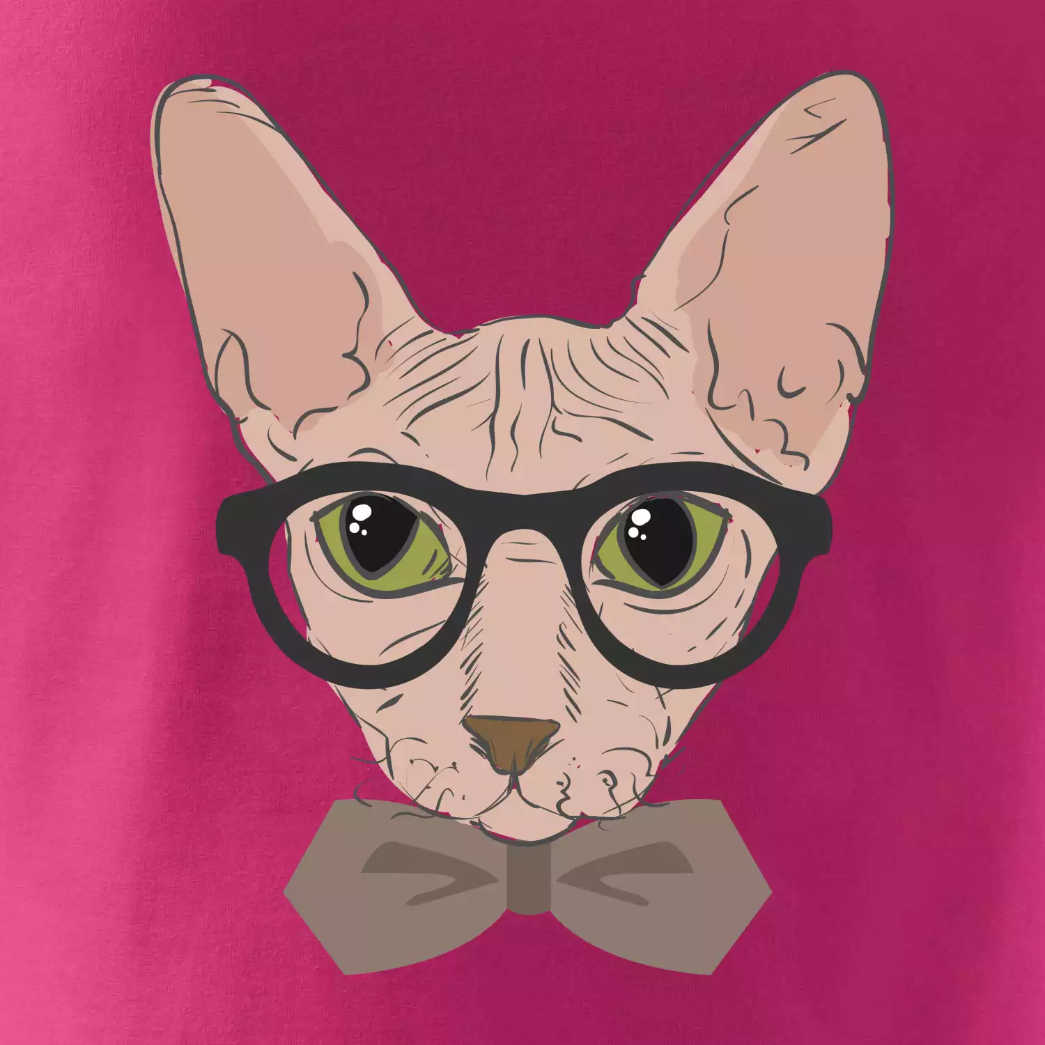Hipster sphynx