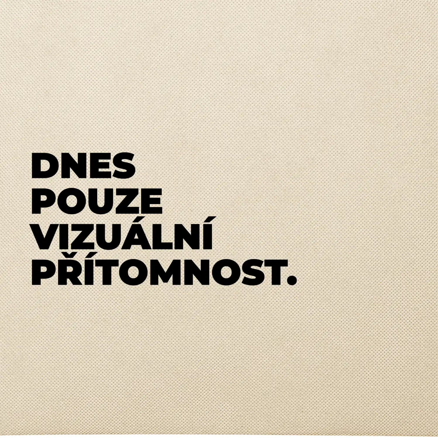 DNES POUZE VIZUÁLNÍ PŘÍTOMNOST.