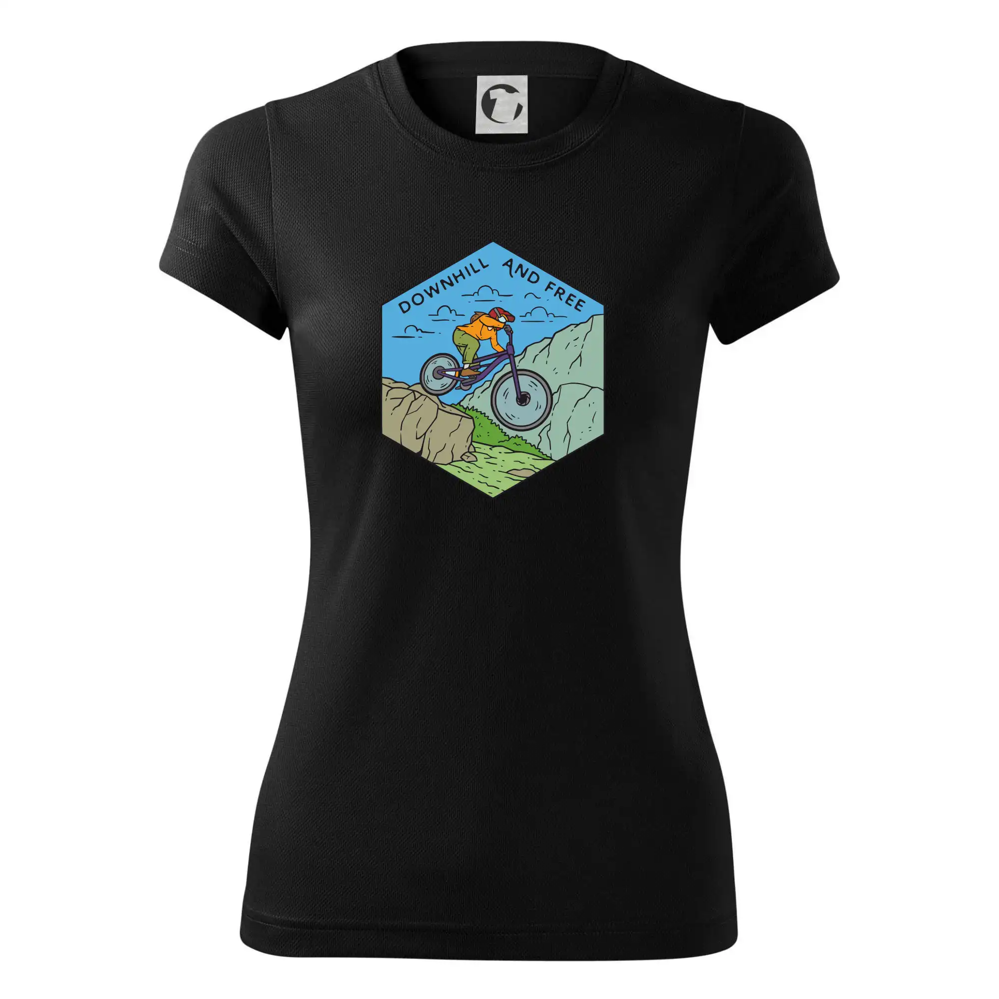 Downhill and free holka