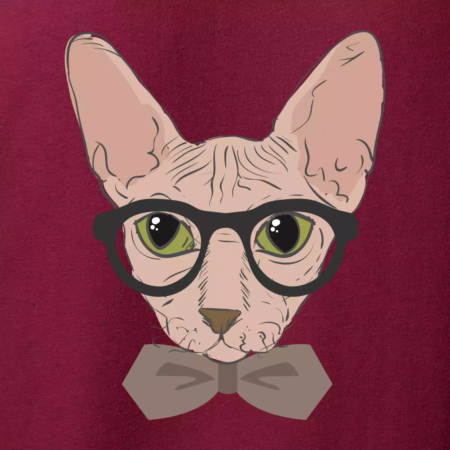 Hipster sphynx