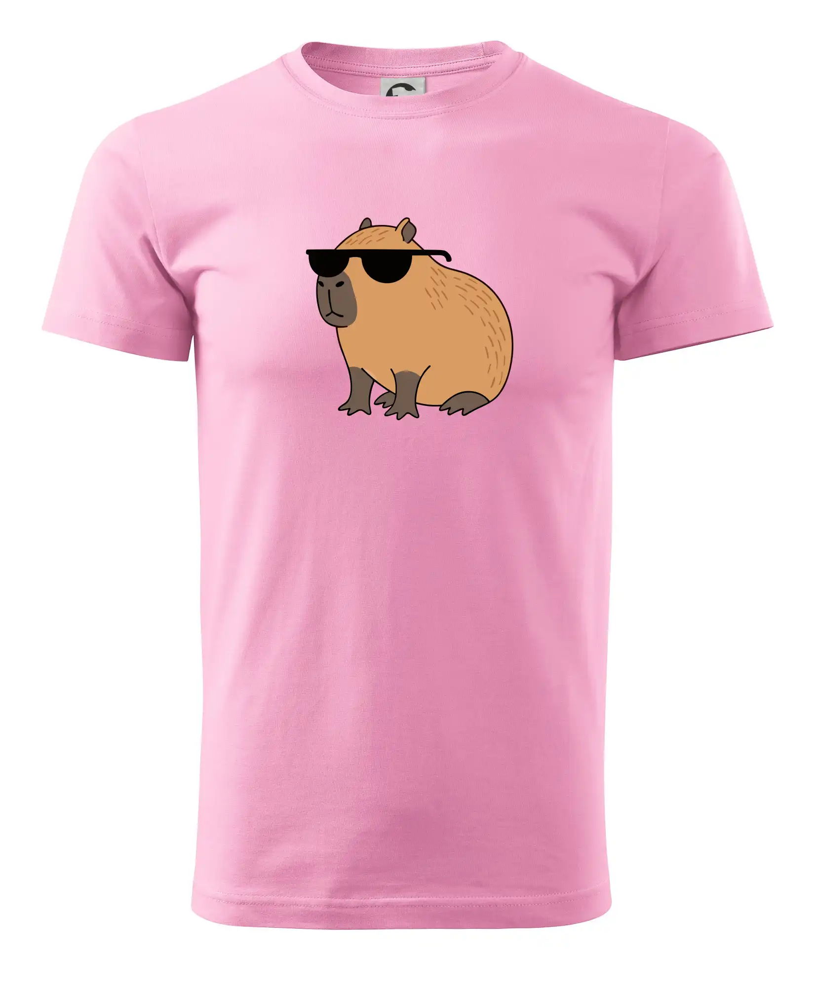 Hustá kapybara