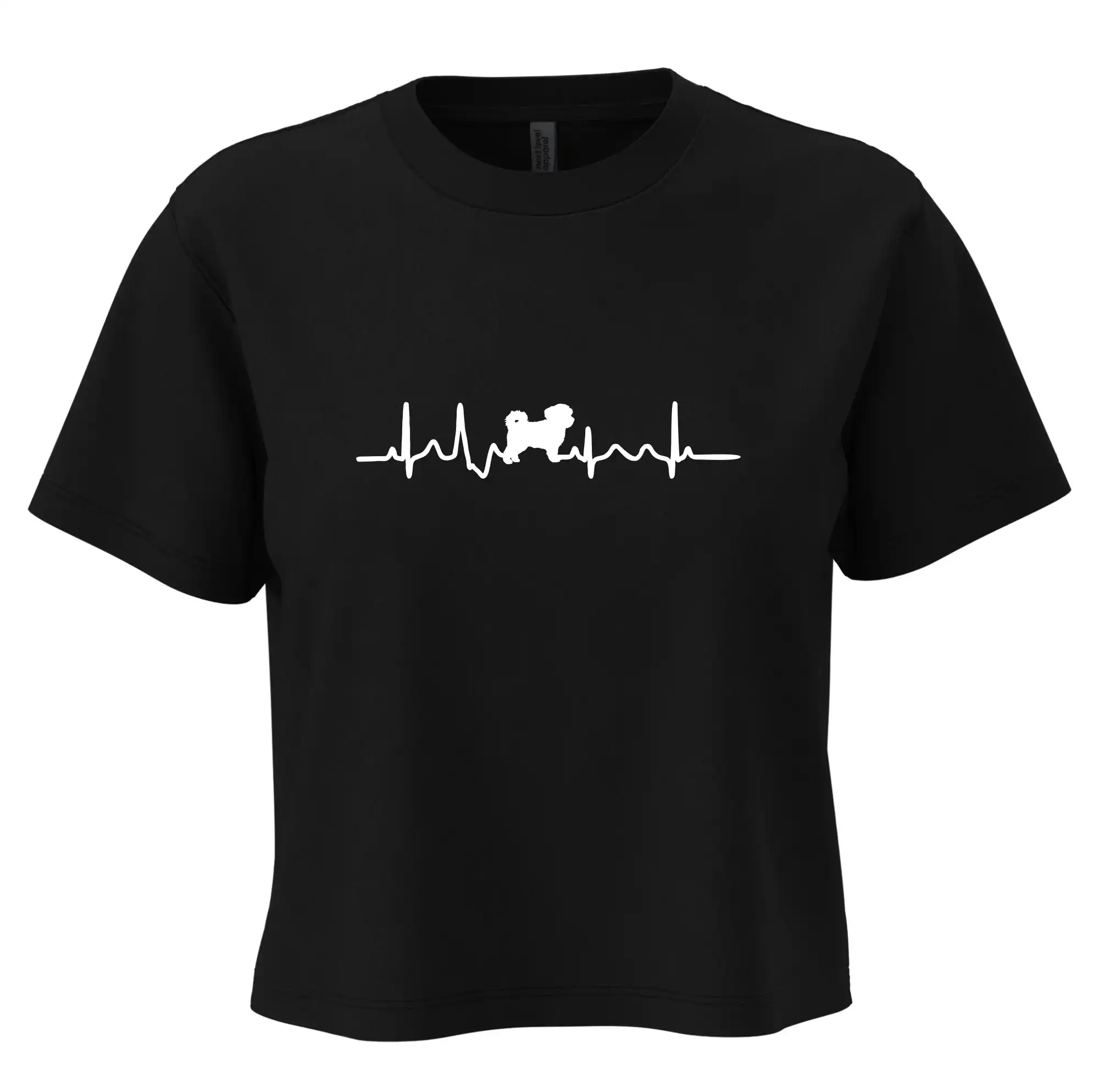 Havanský psík ekg