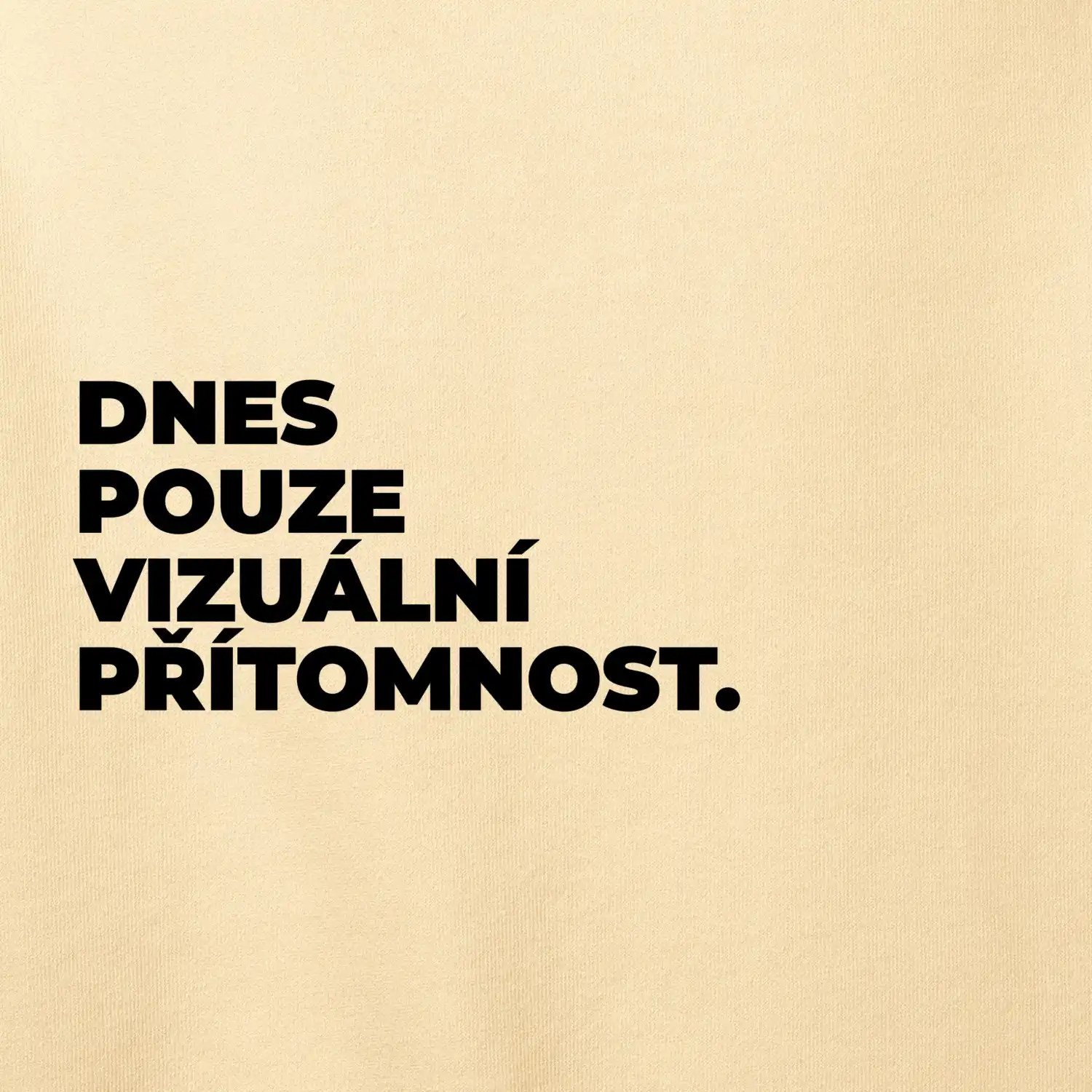 DNES POUZE VIZUÁLNÍ PŘÍTOMNOST.