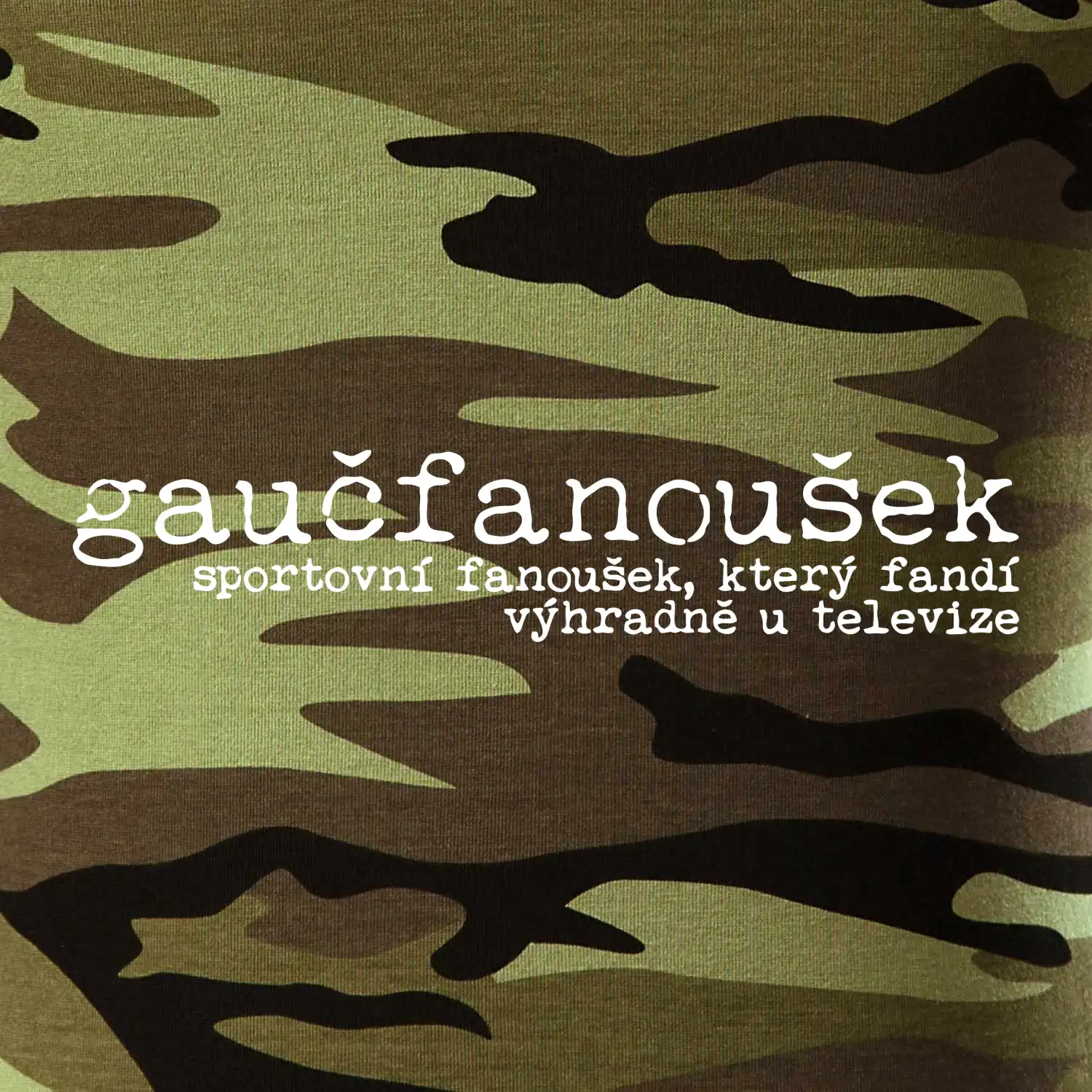 Čeština 2.0 - gaučfanoušek