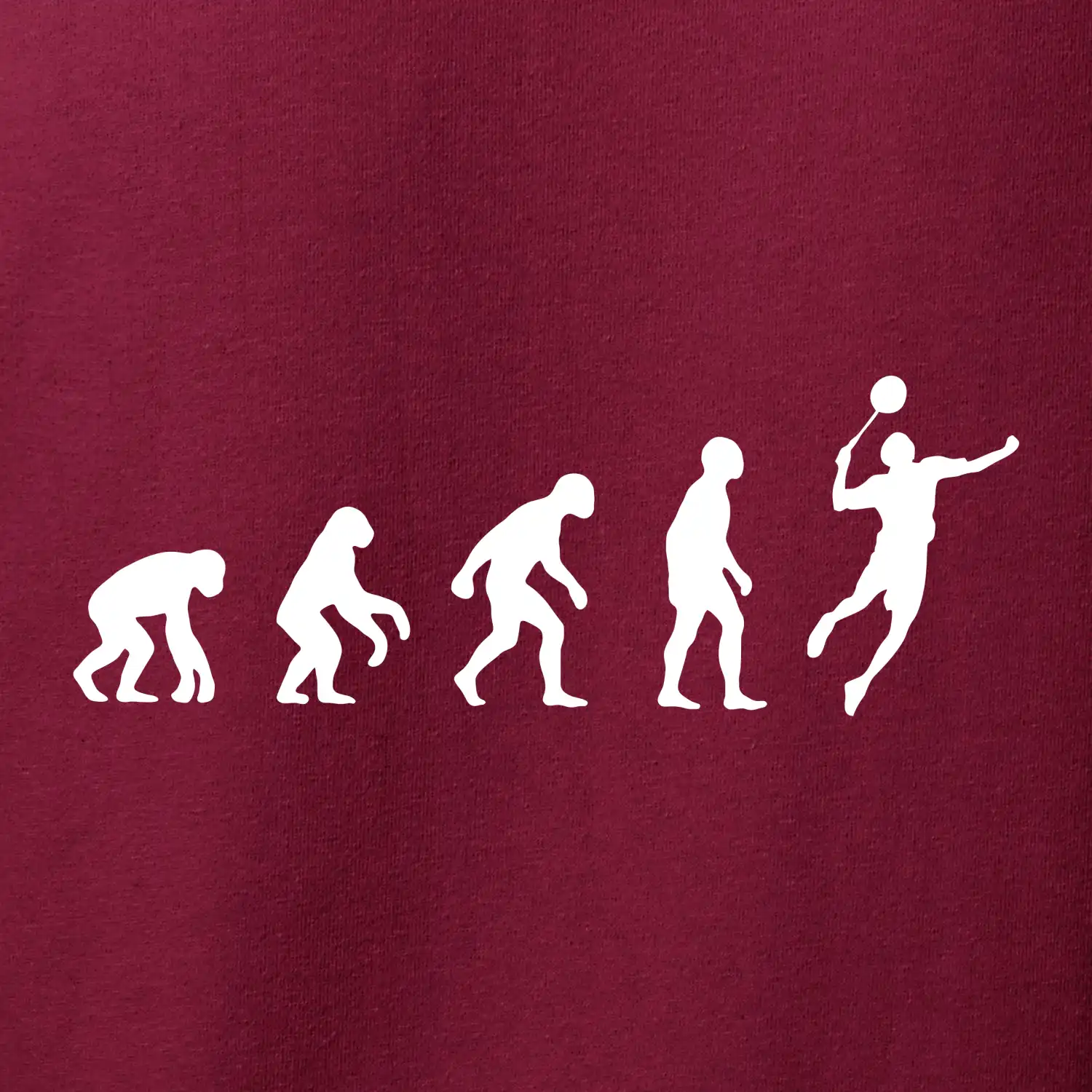 Evoluce Badminton