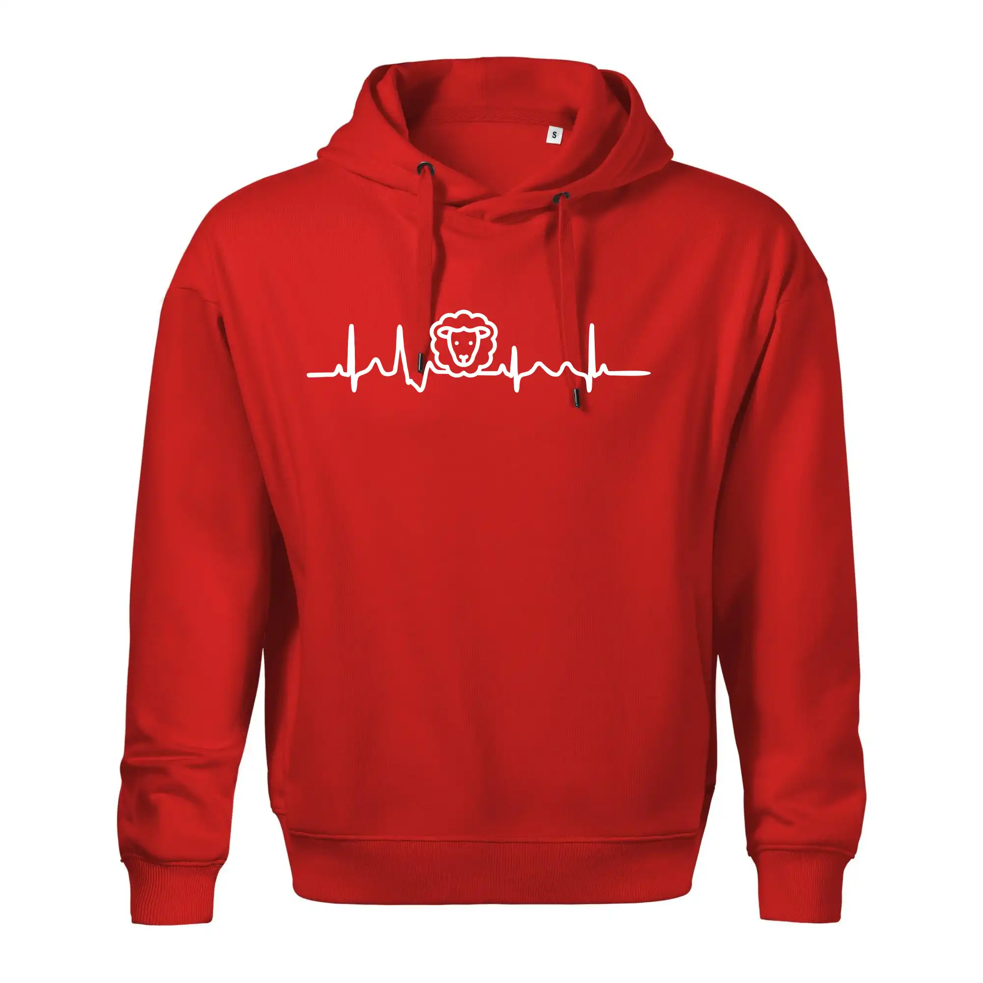 Ekg ovce
