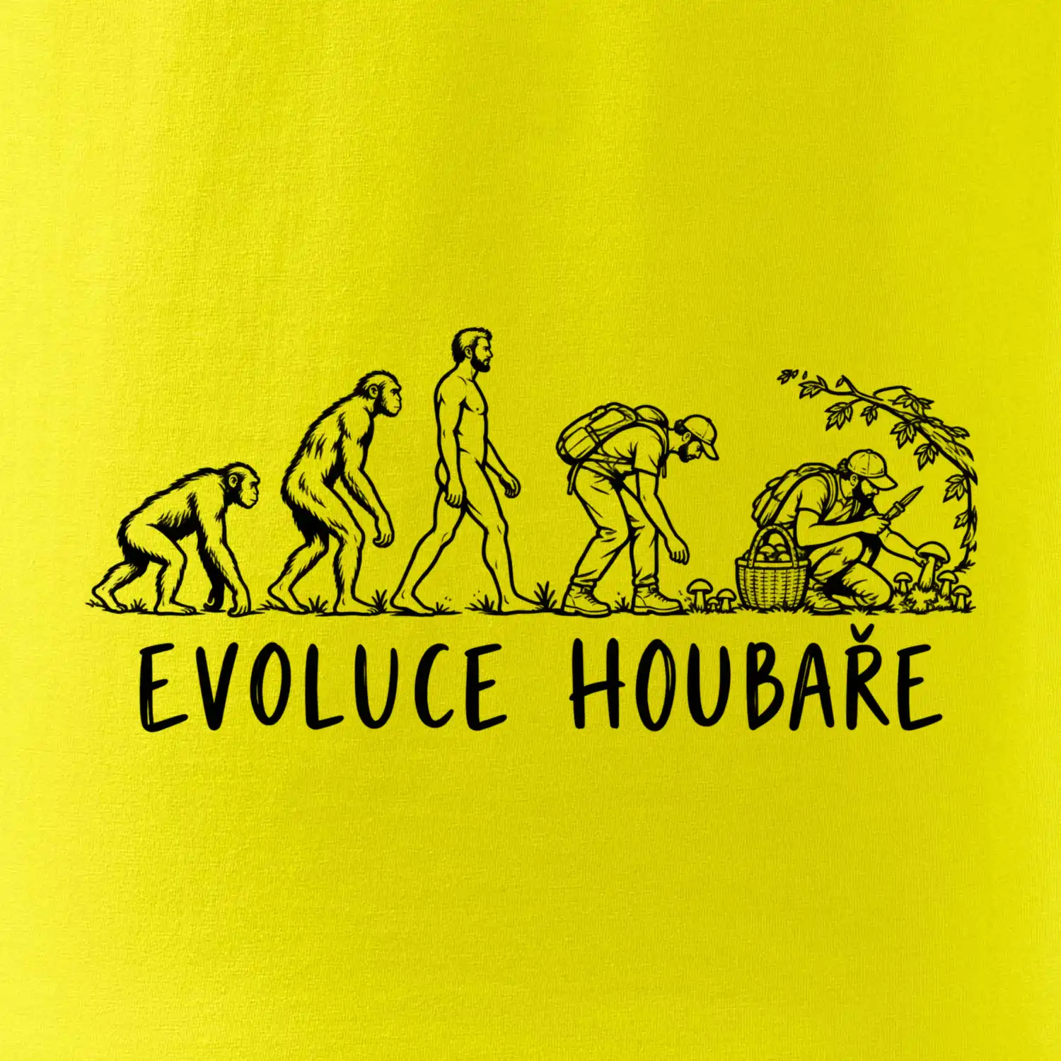 Evoluce houbaře