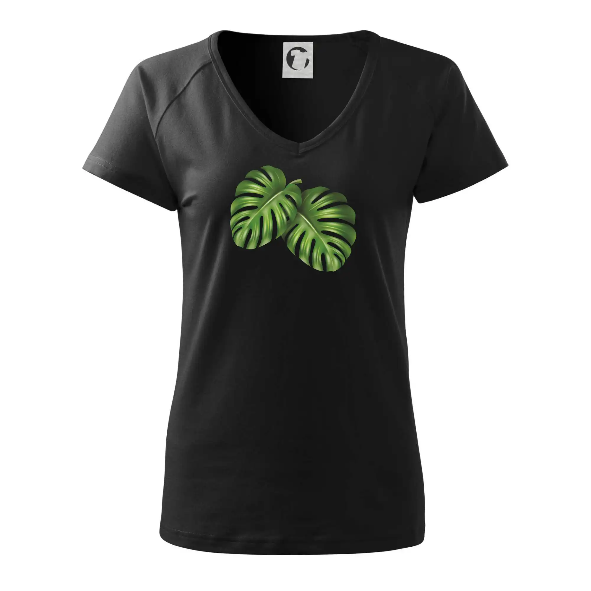 Monstera - dva listy