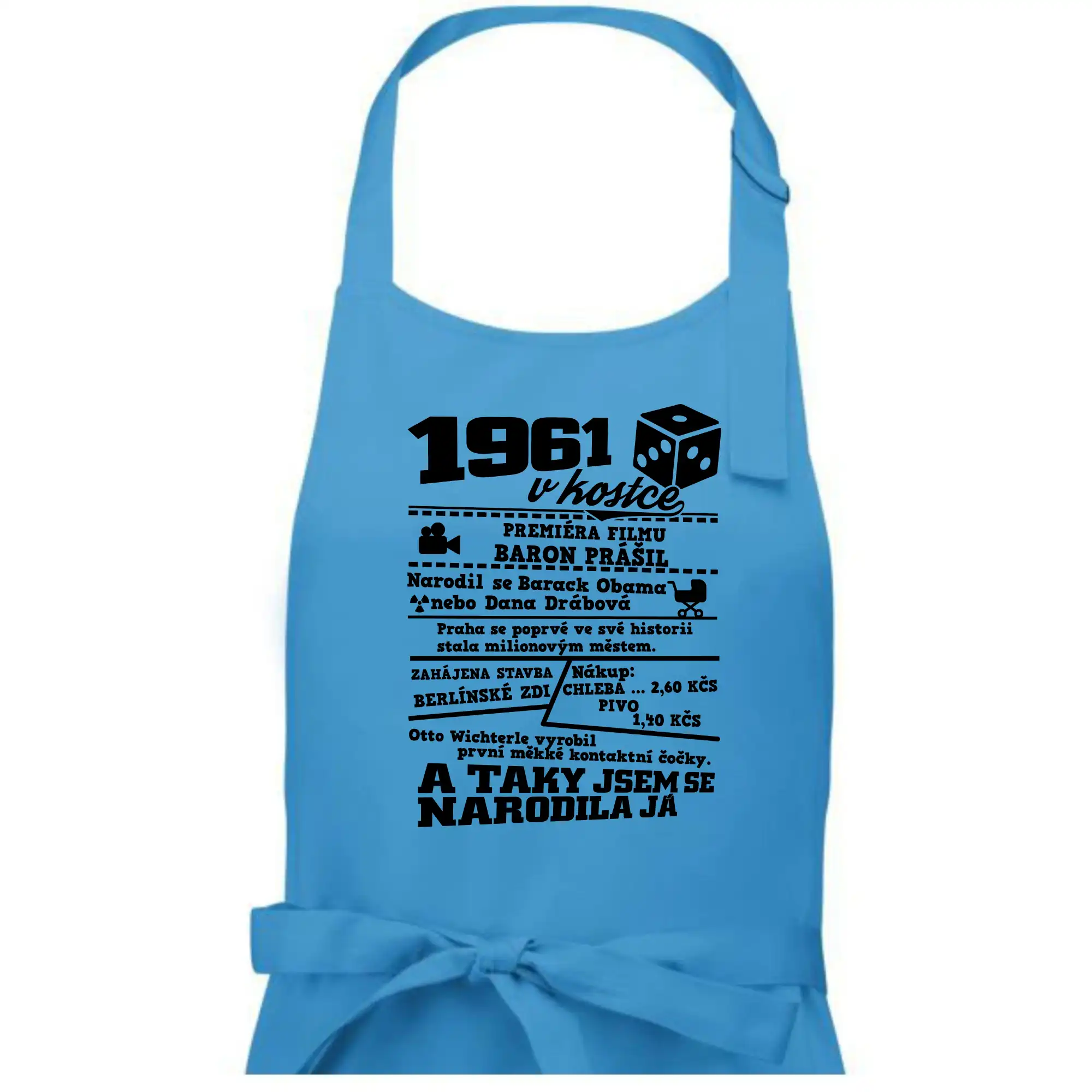 1961 v kostce