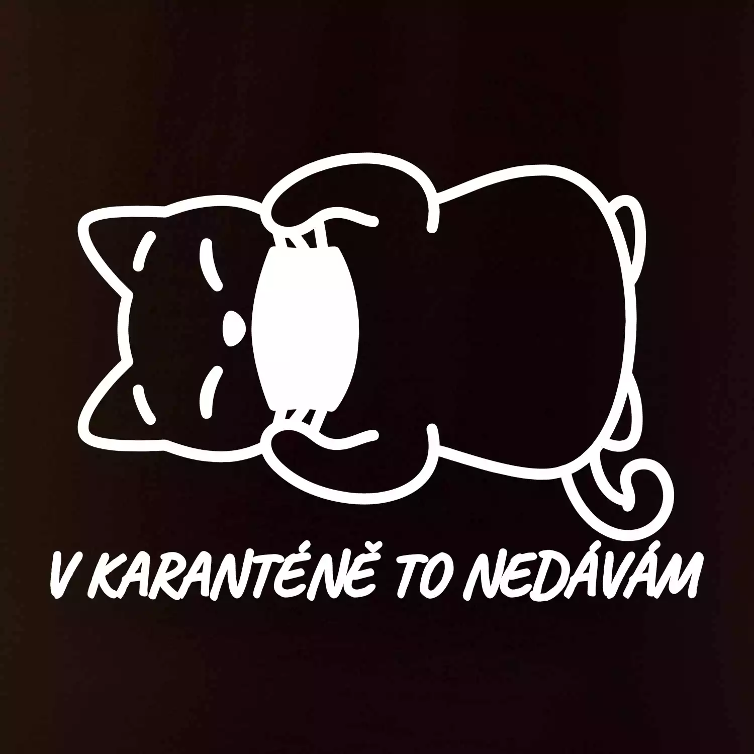 V karanténě to nedávám
