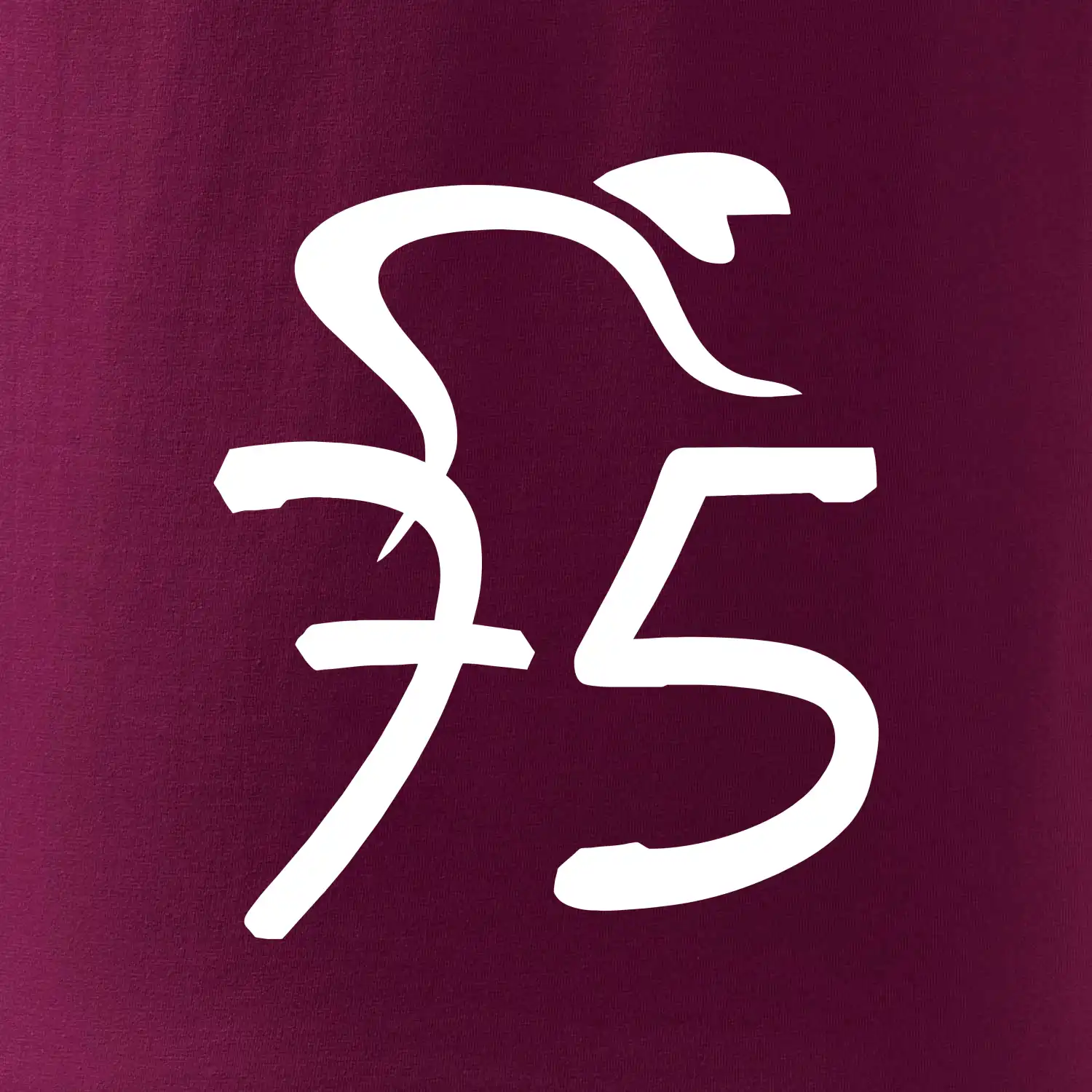 Cyklista slaví pětasedmdesátku (75)