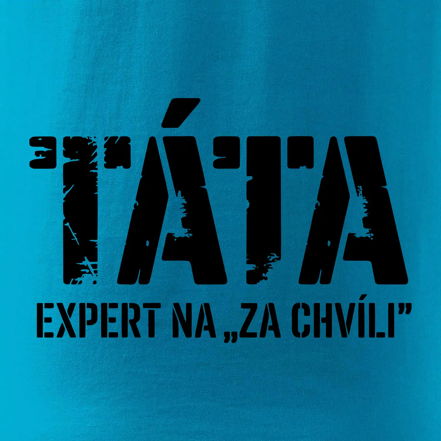 Táta - expert na za chvíli