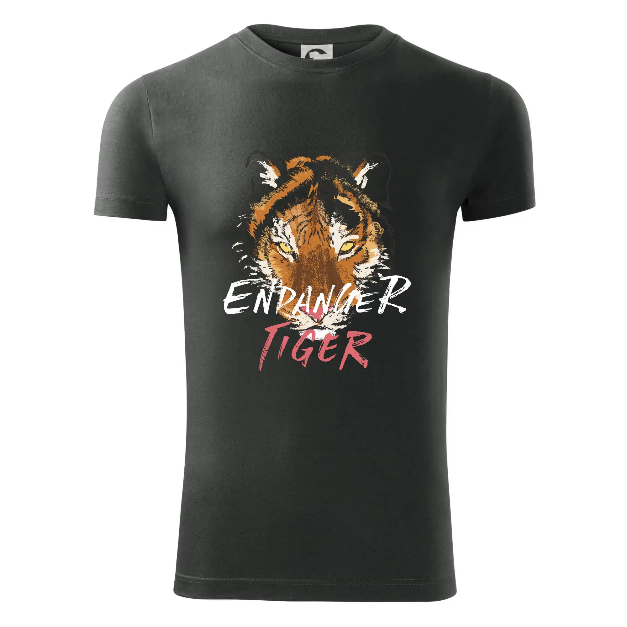 Tygr - endanger