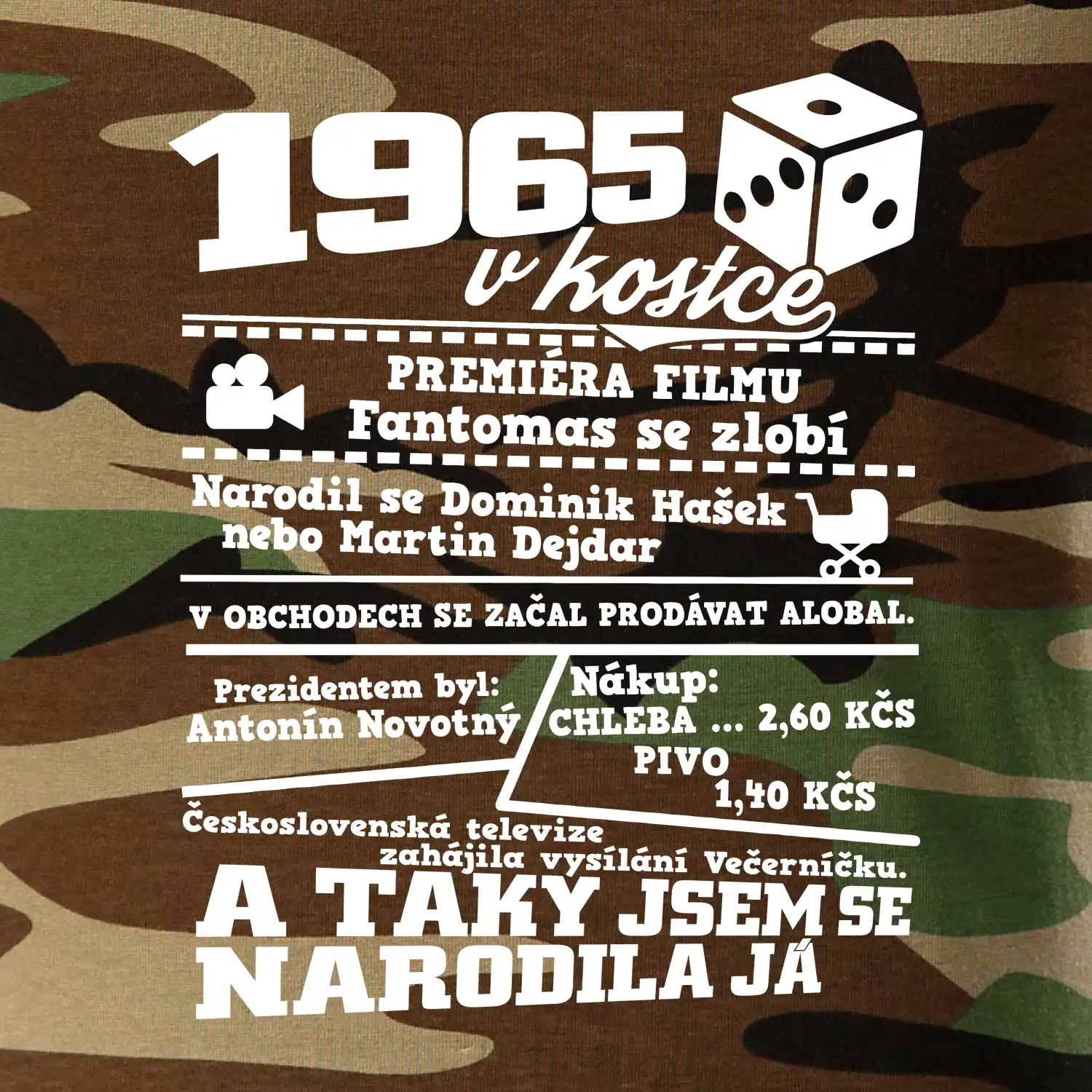 1965 v kostce