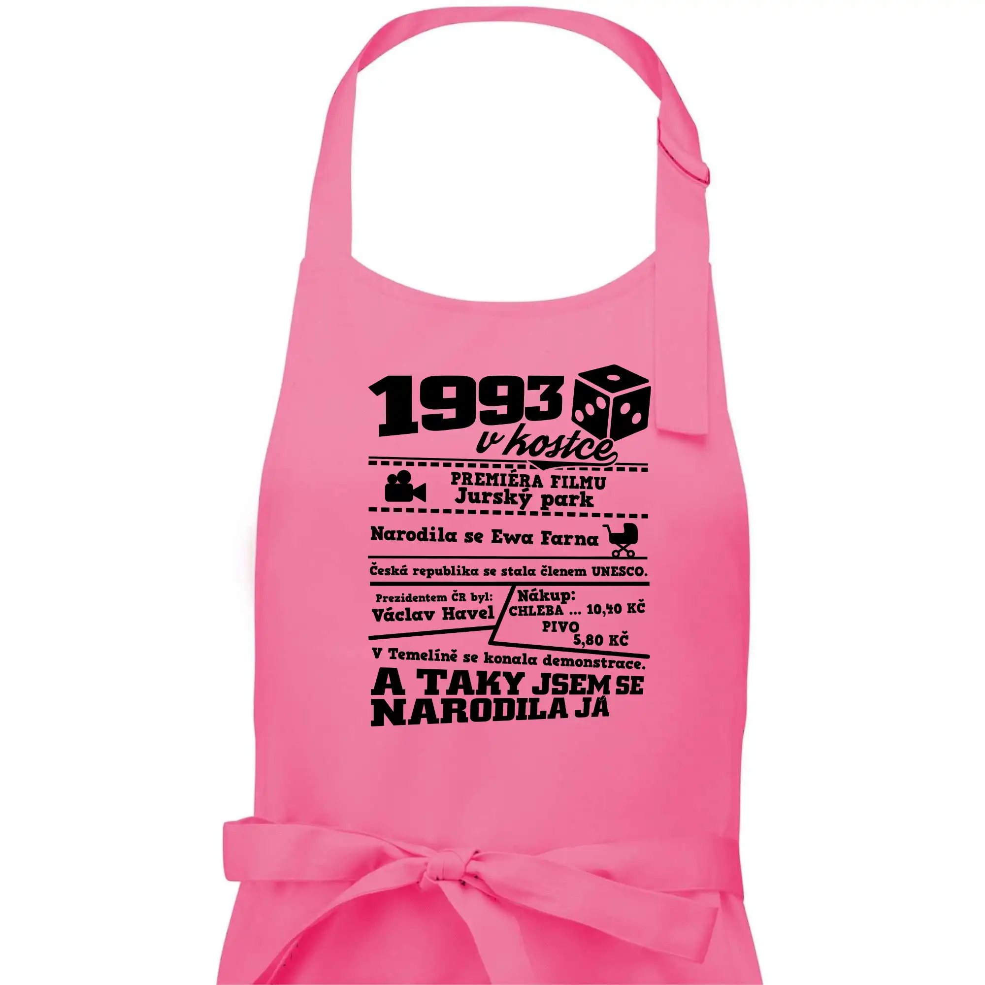 1993 v kostce