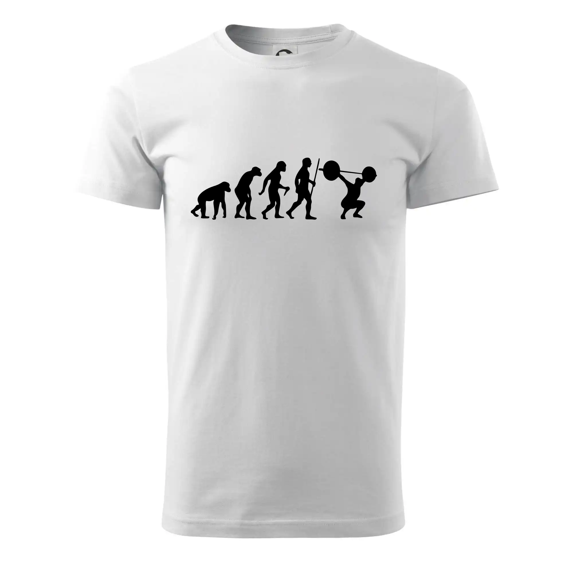 Evolution fitness