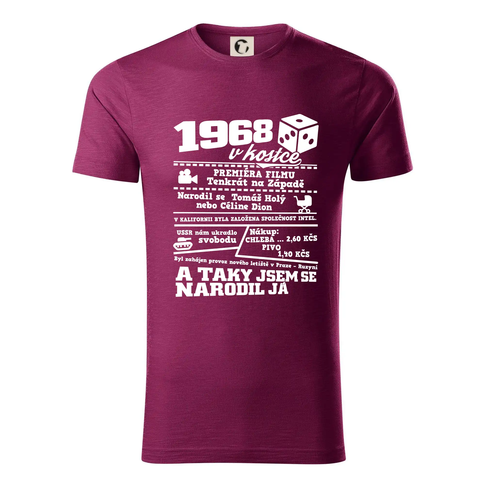 1968 v kostce