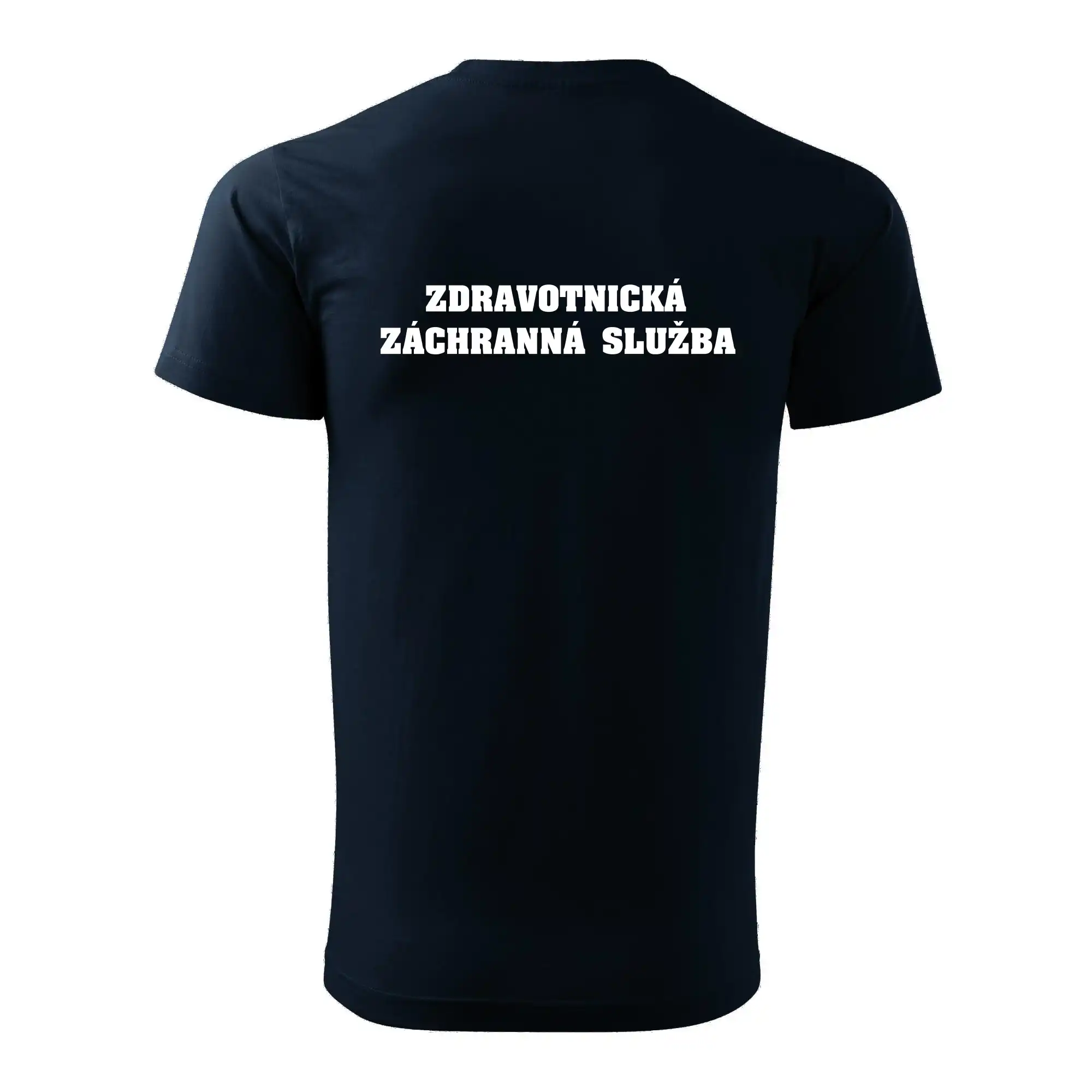 Hvězda života - zdravotnická záchranná služba