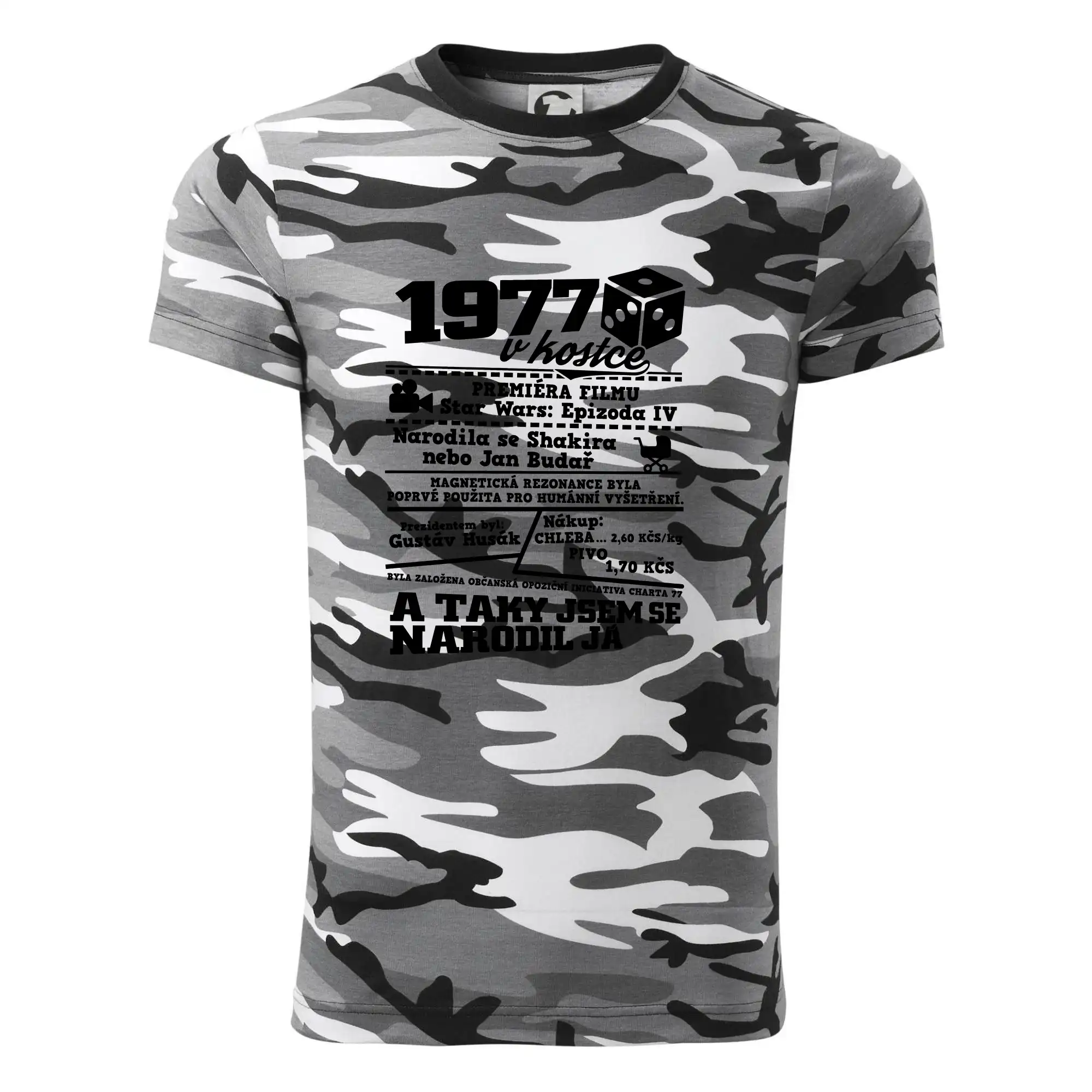 1977 v kostce