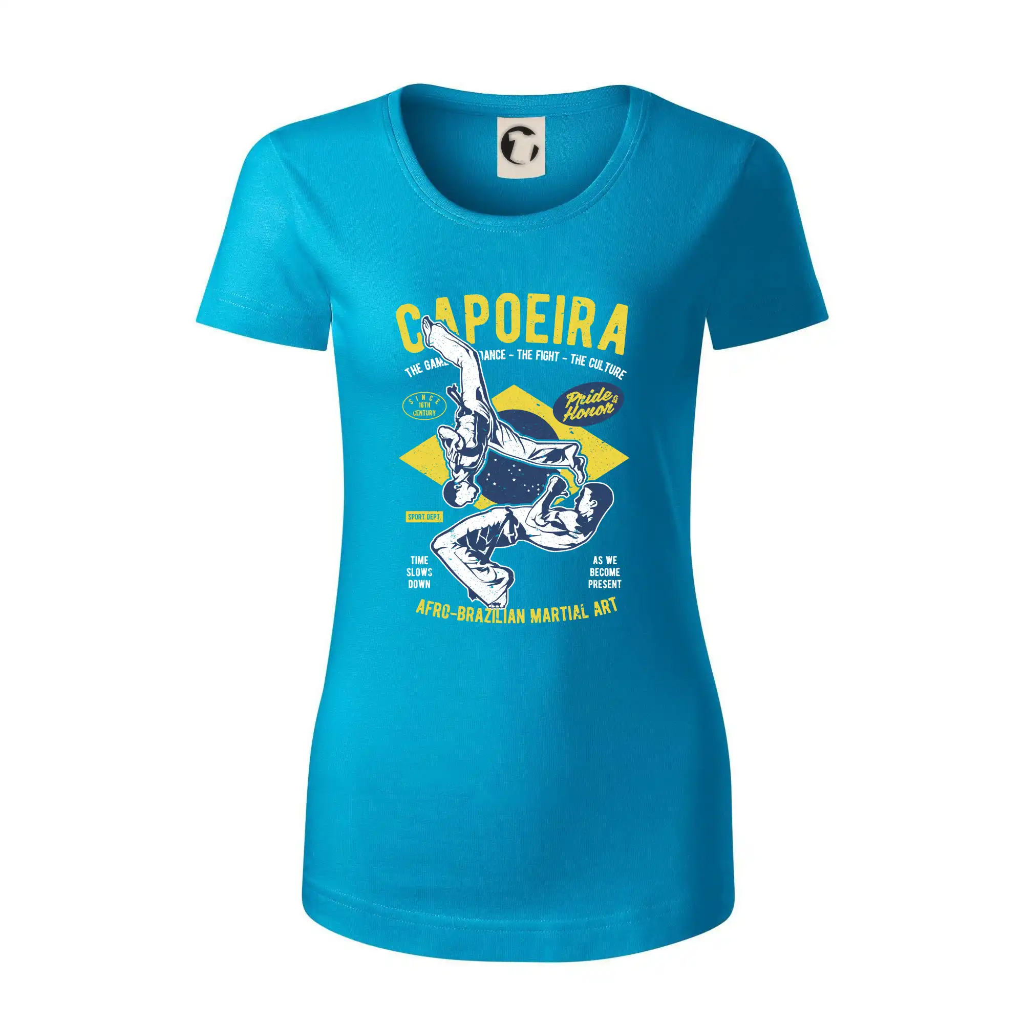 Capoeira  Afro-brazil art