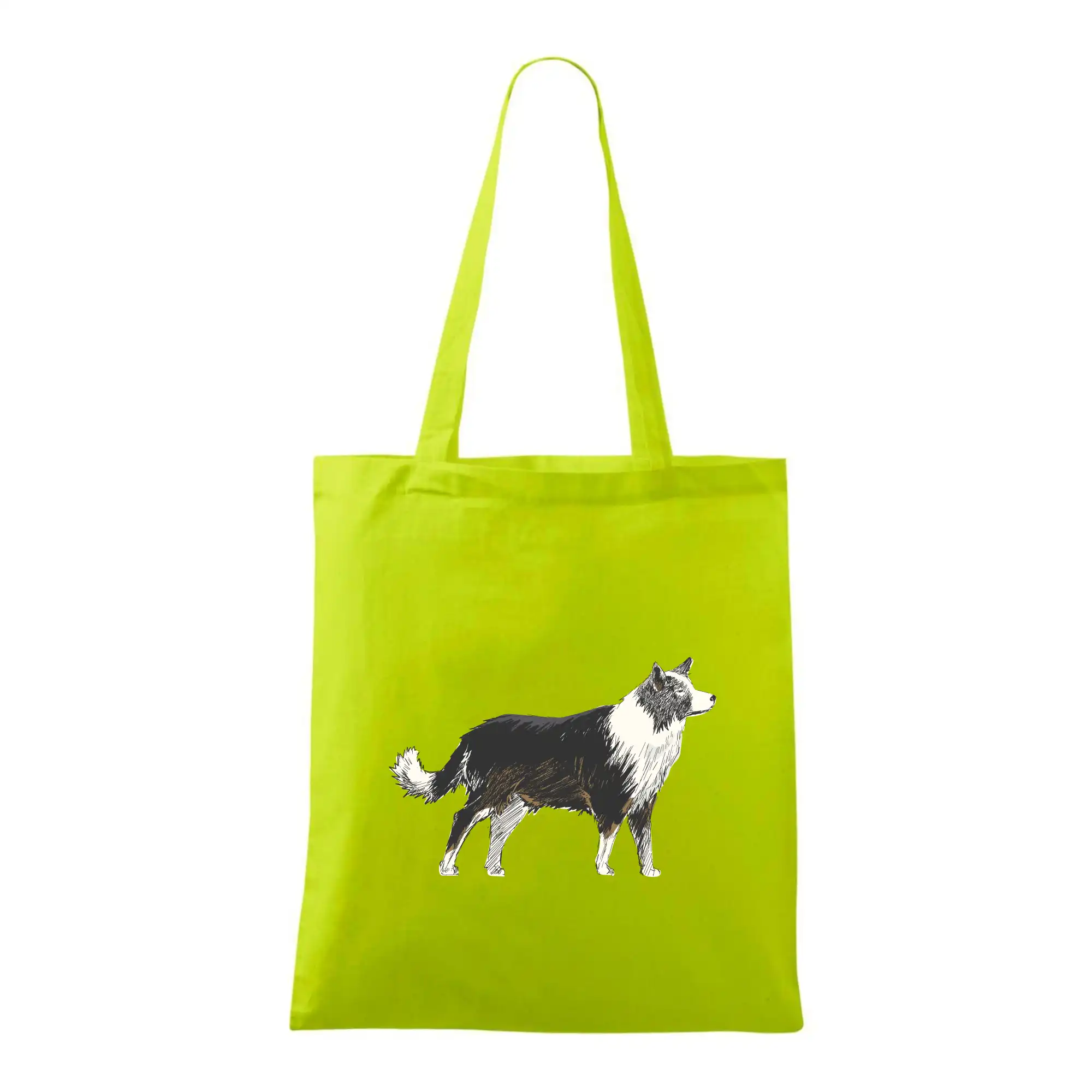 Border kolie kreslená