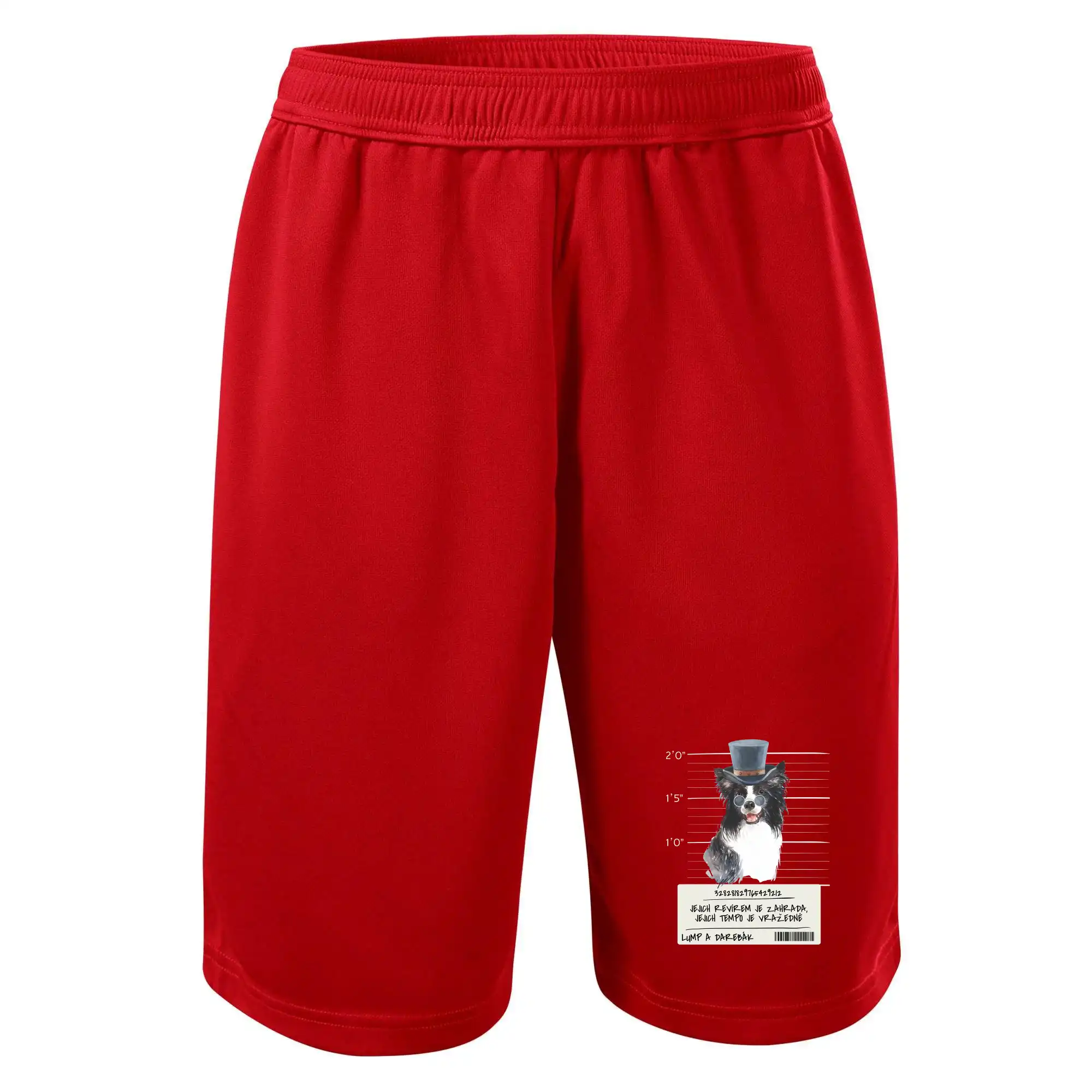 Lump a darebák border kolie