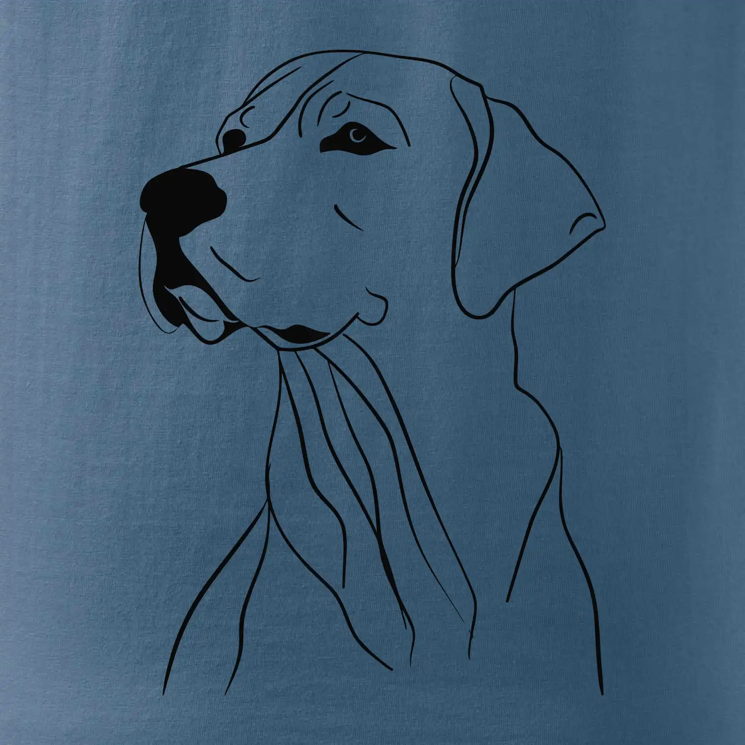 Labrador černá kresba